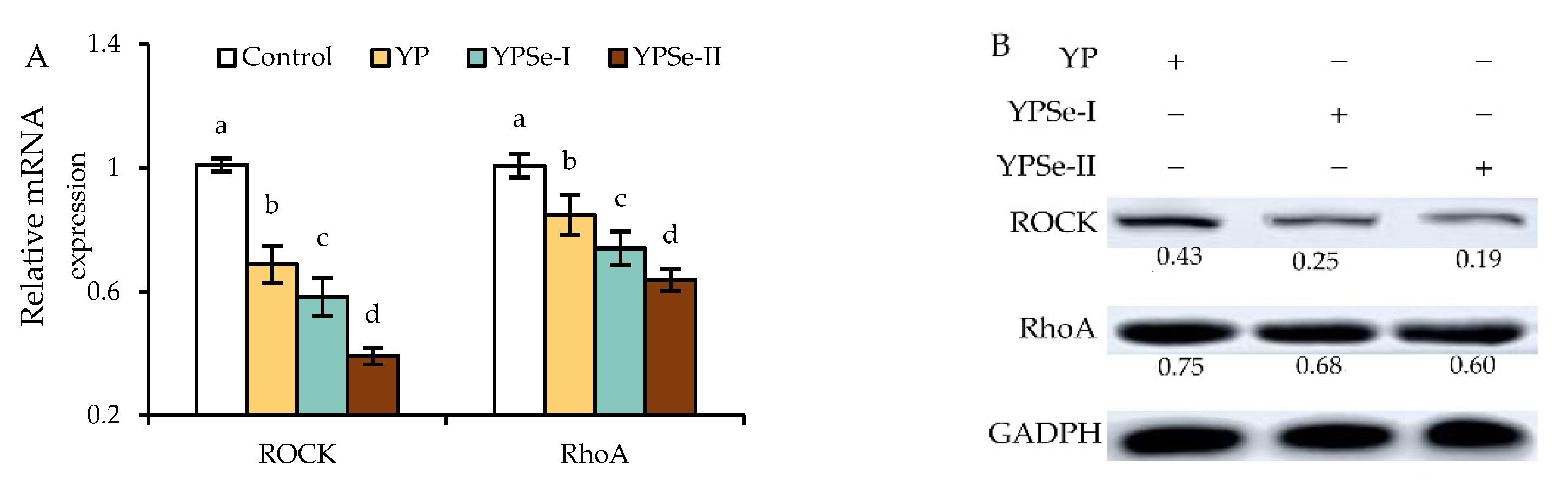 Nutrients 14 03950 g008