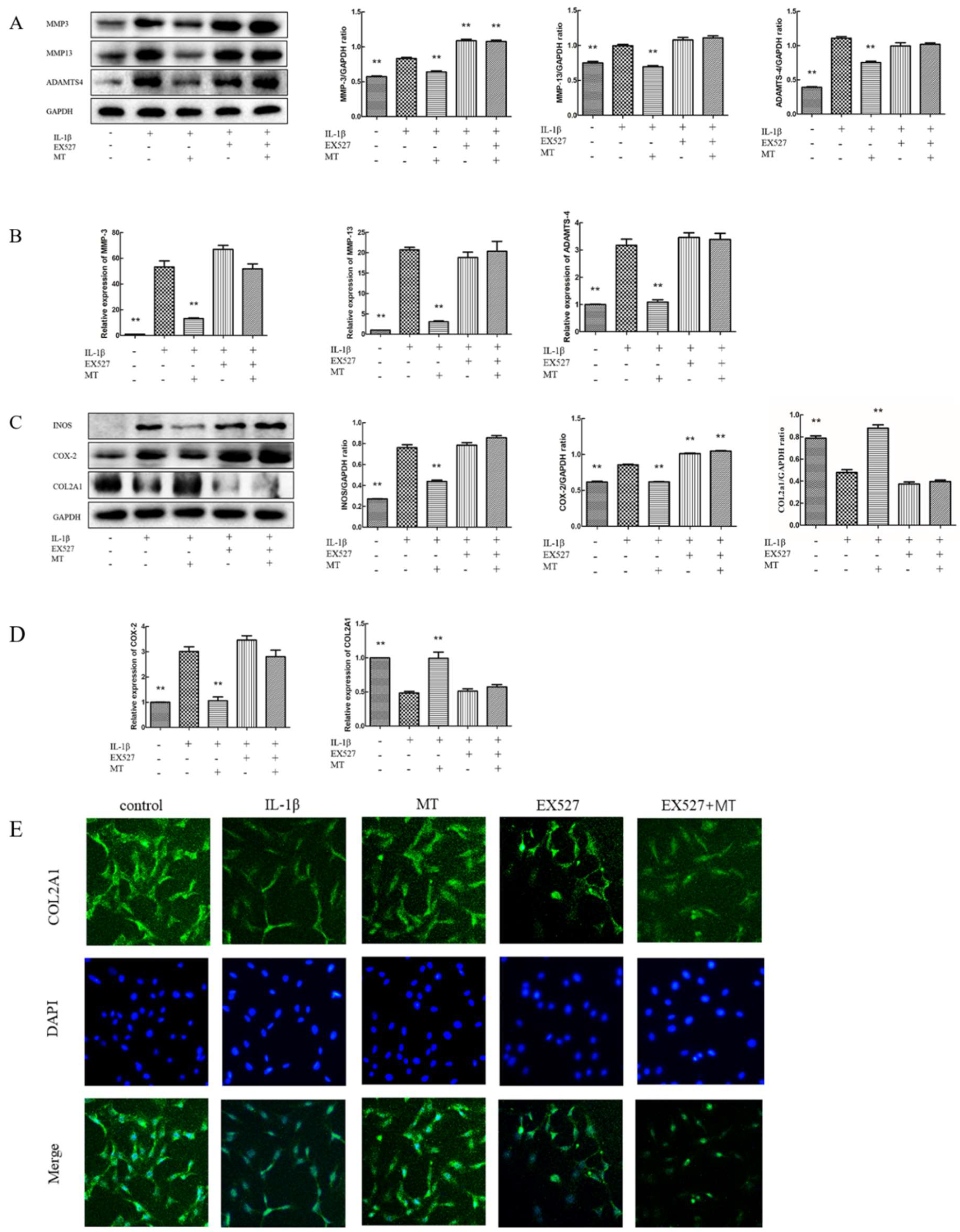 Nutrients 14 03966 g008