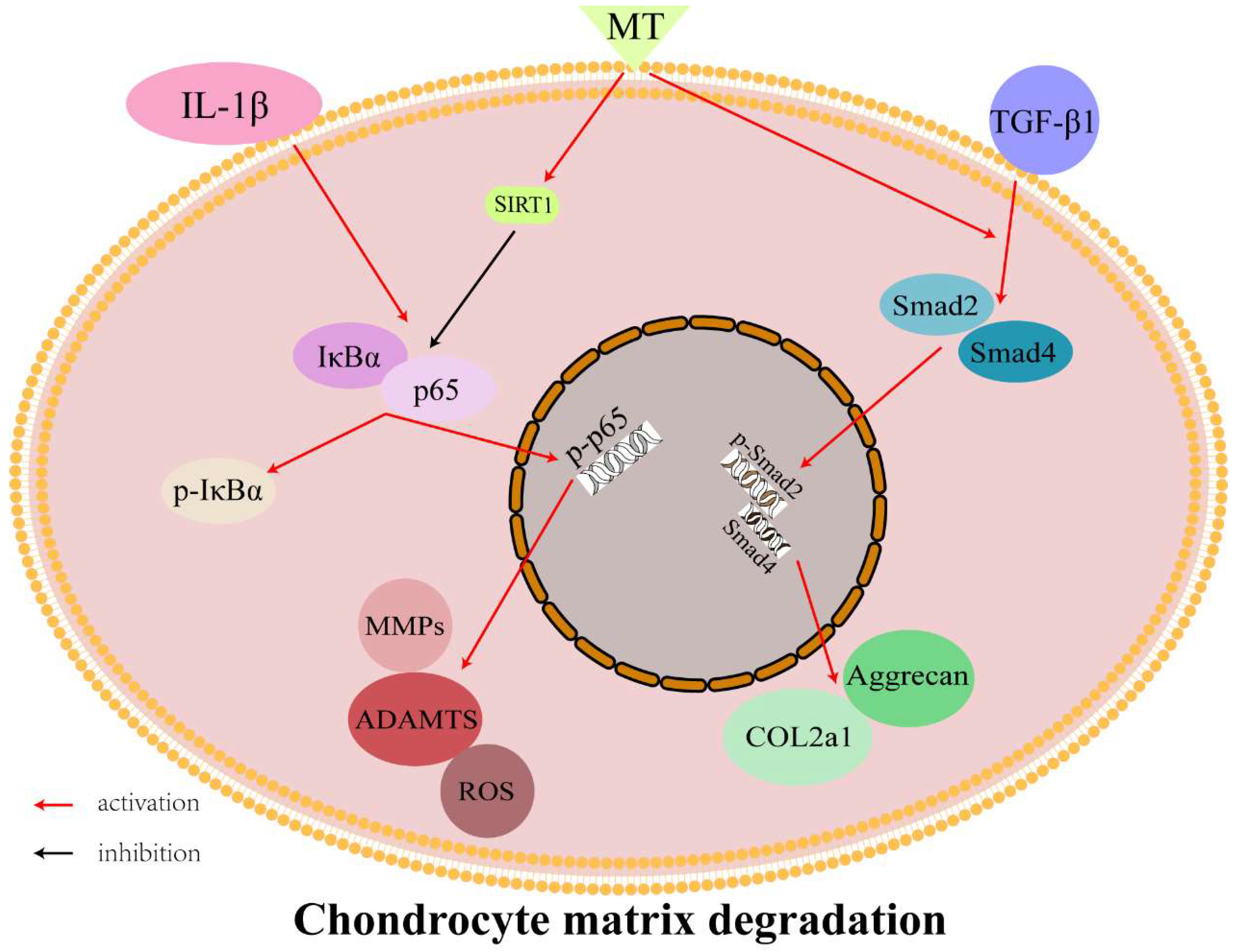 Nutrients 14 03966 g009