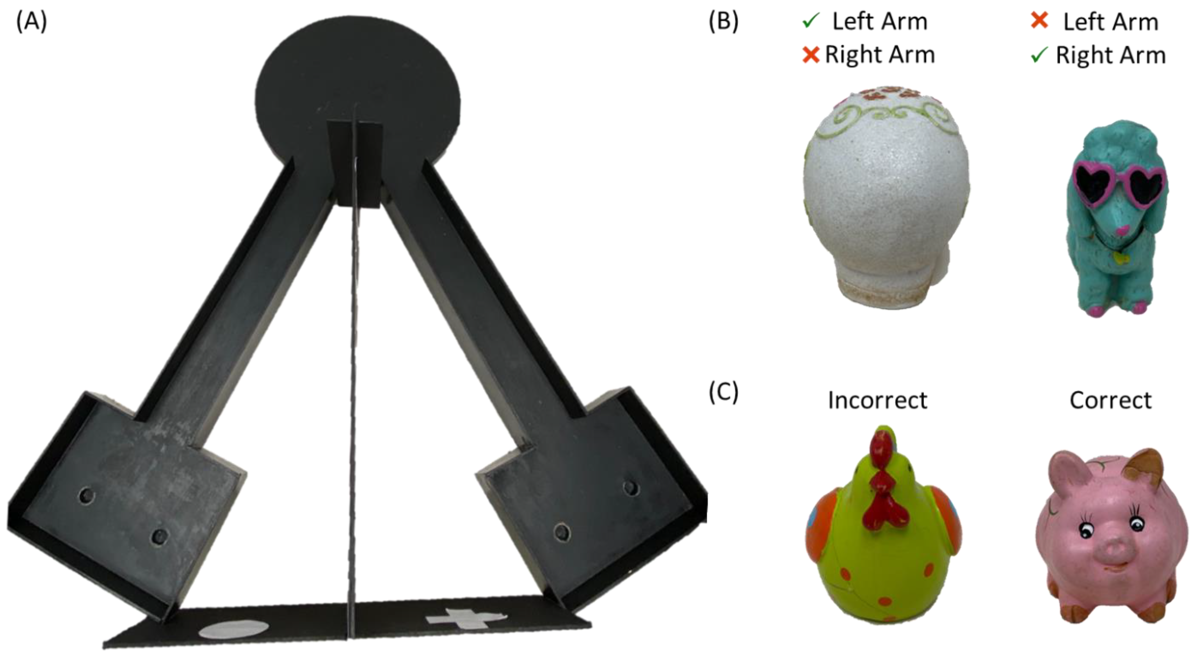 Nutrients 14 03977 g001