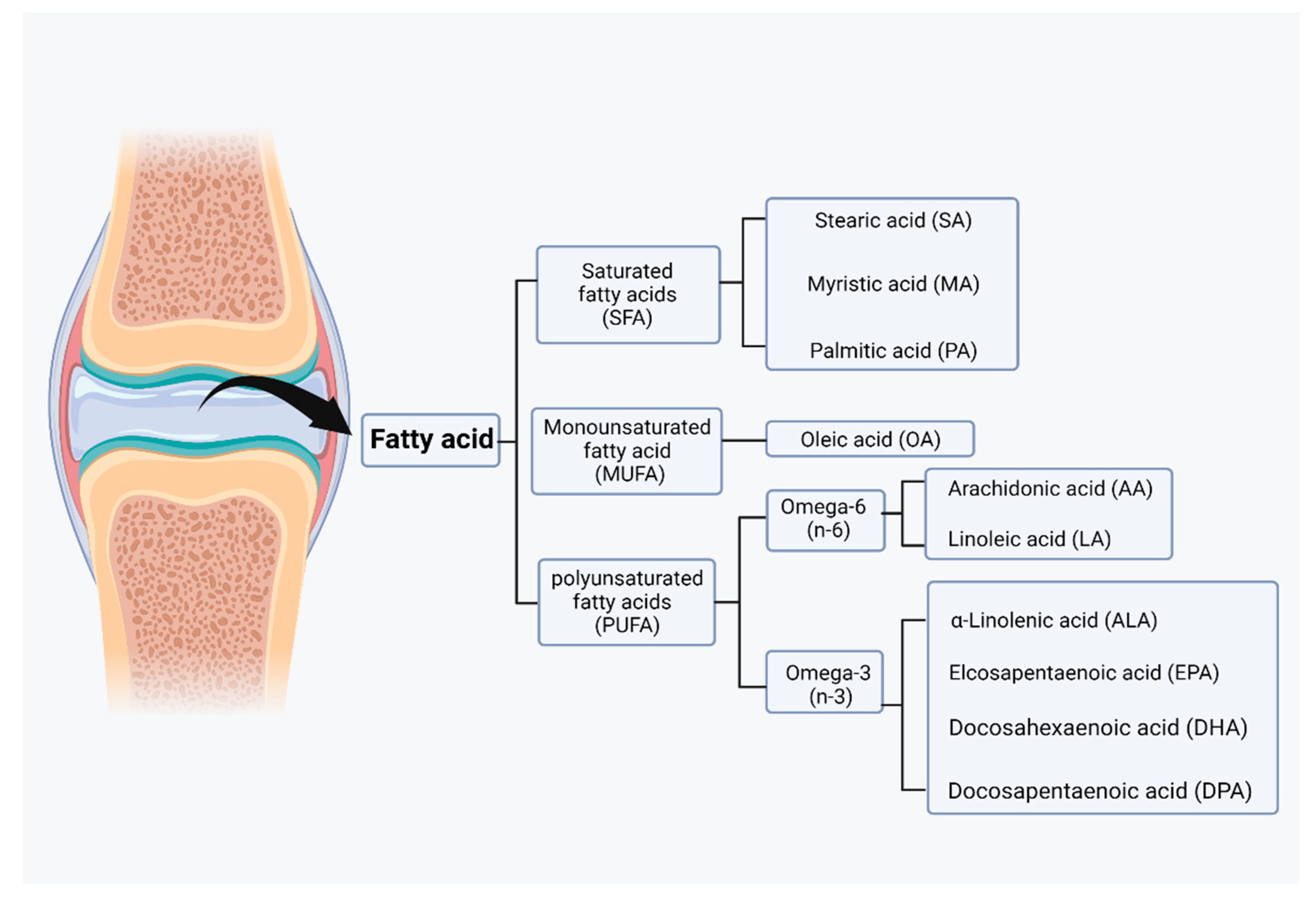 Nutrients 14 03984 g003