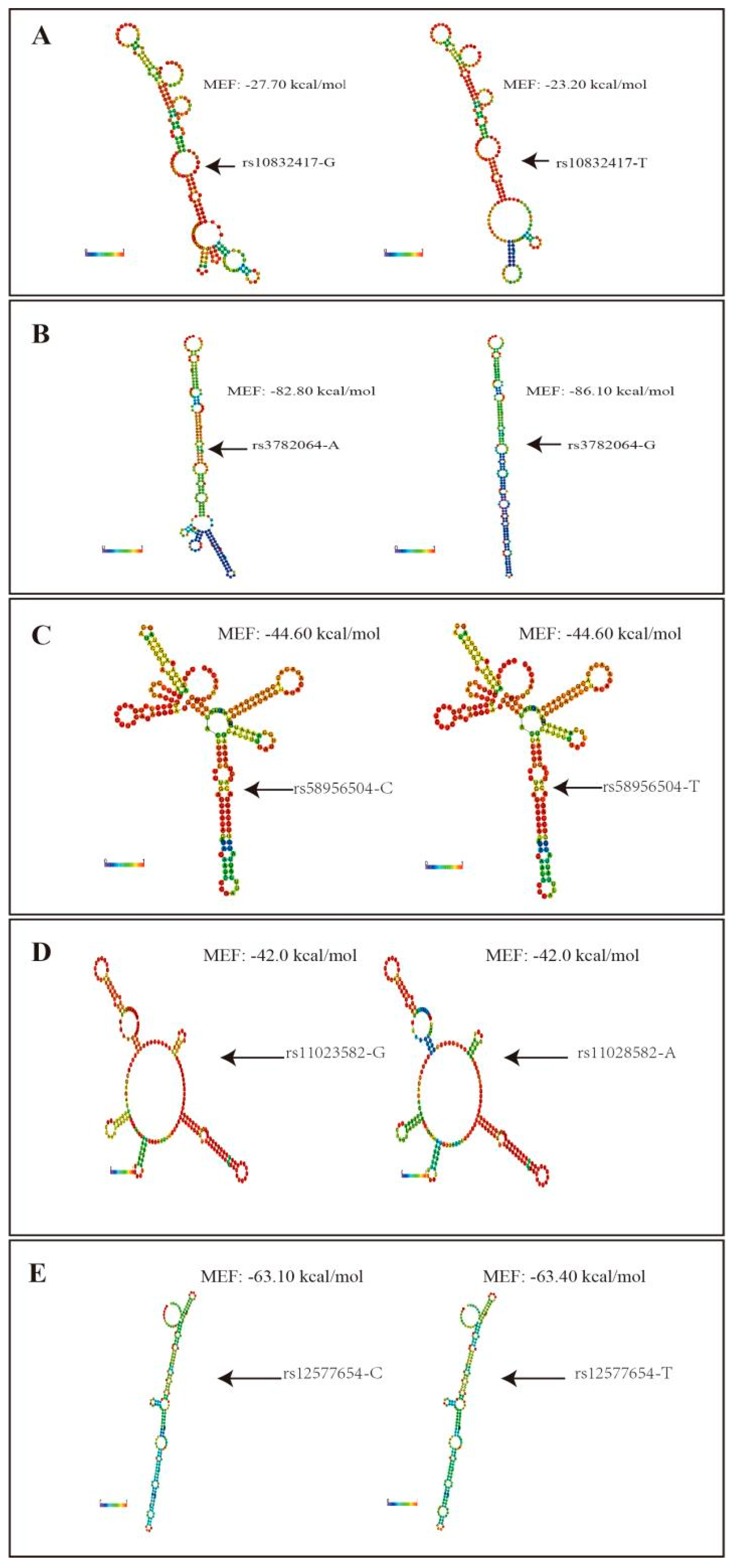 Nutrients 14 03990 g004