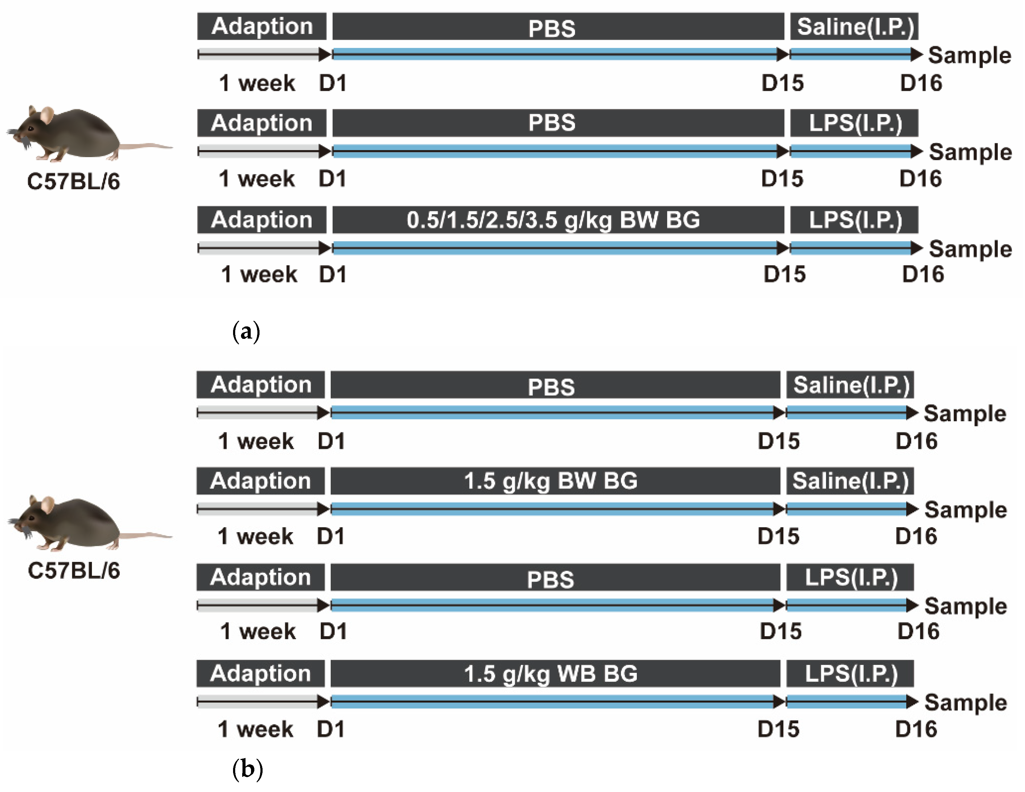 Nutrients 14 03991 g001