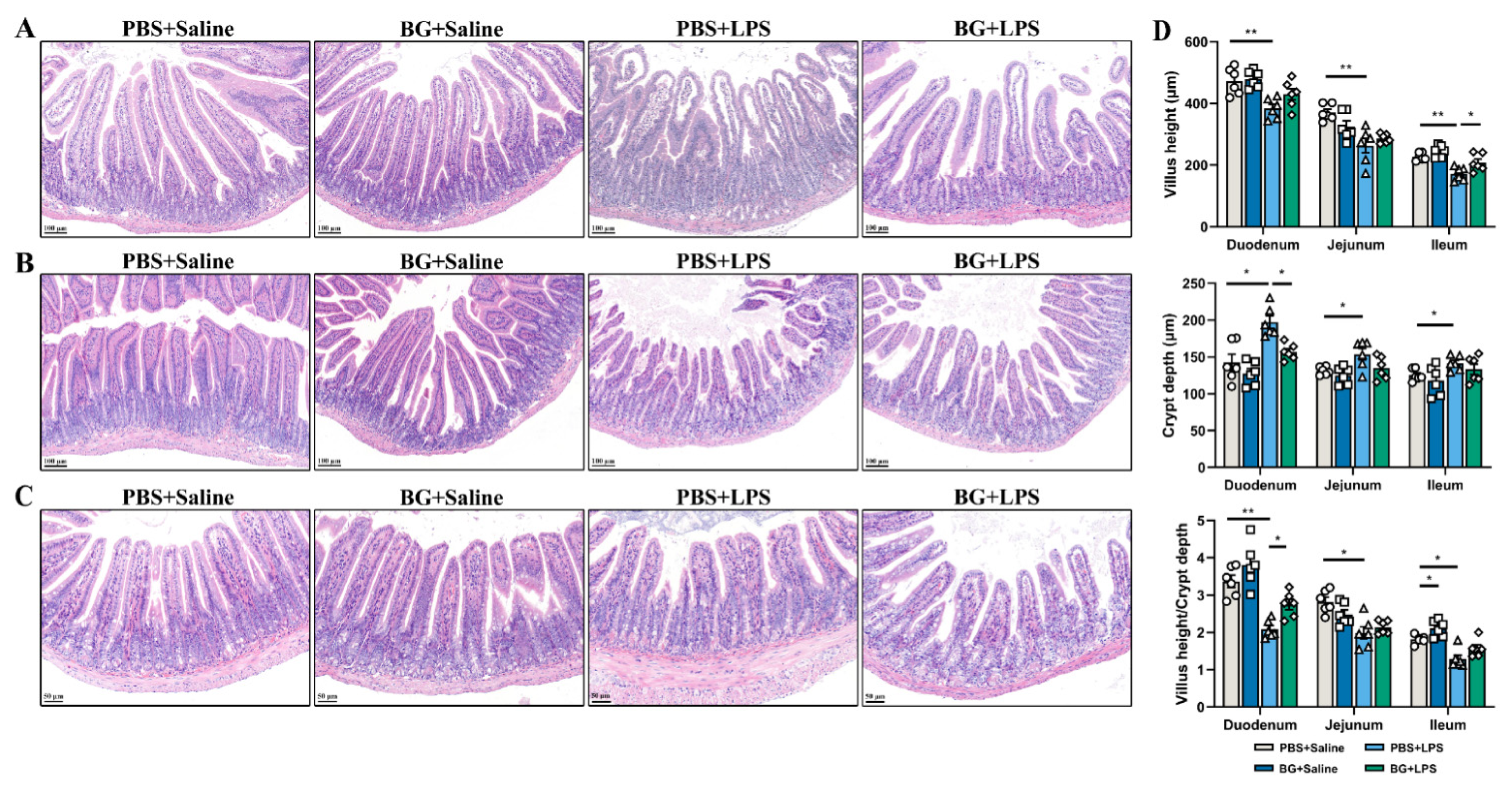 Nutrients 14 03991 g003