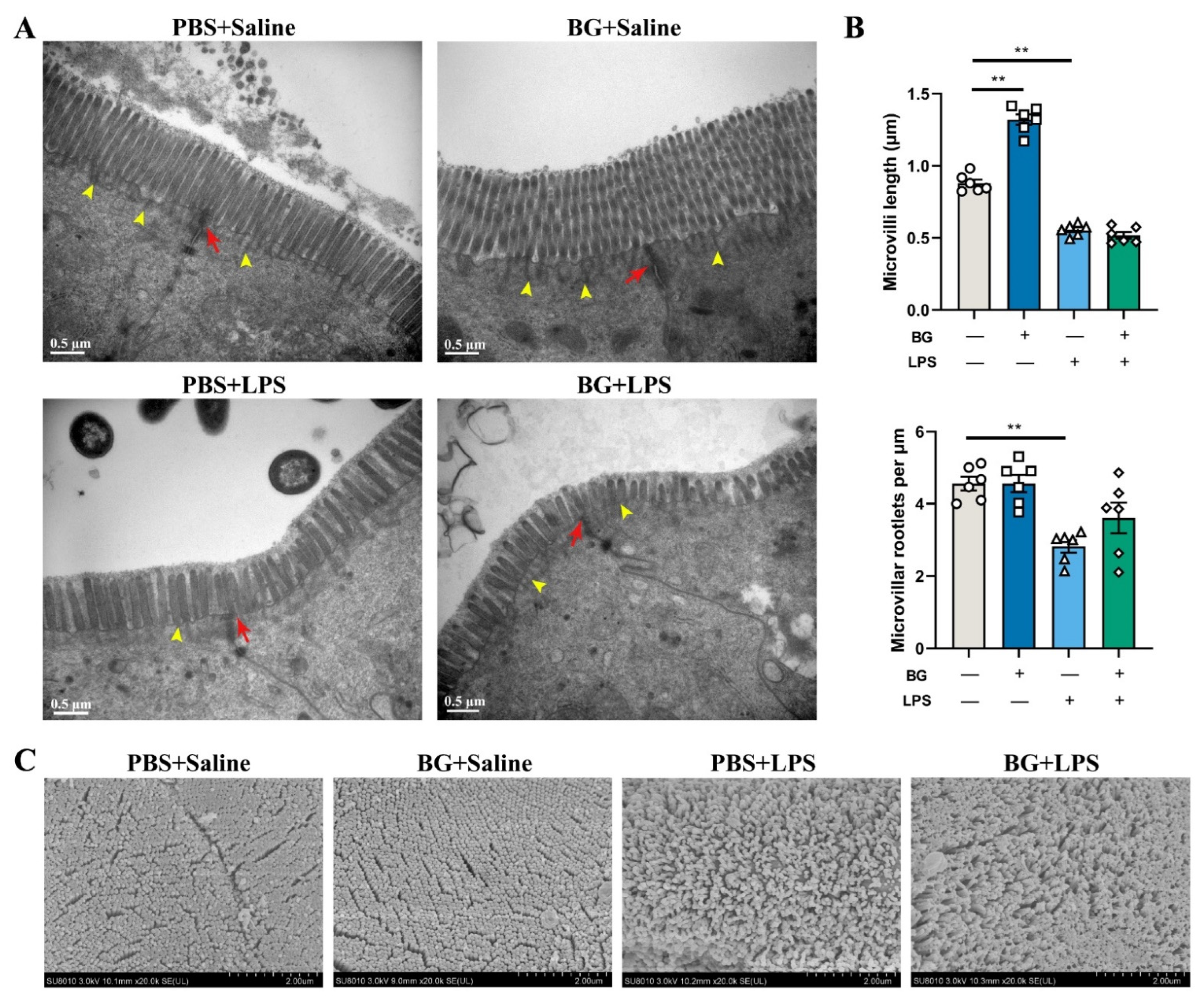 Nutrients 14 03991 g004