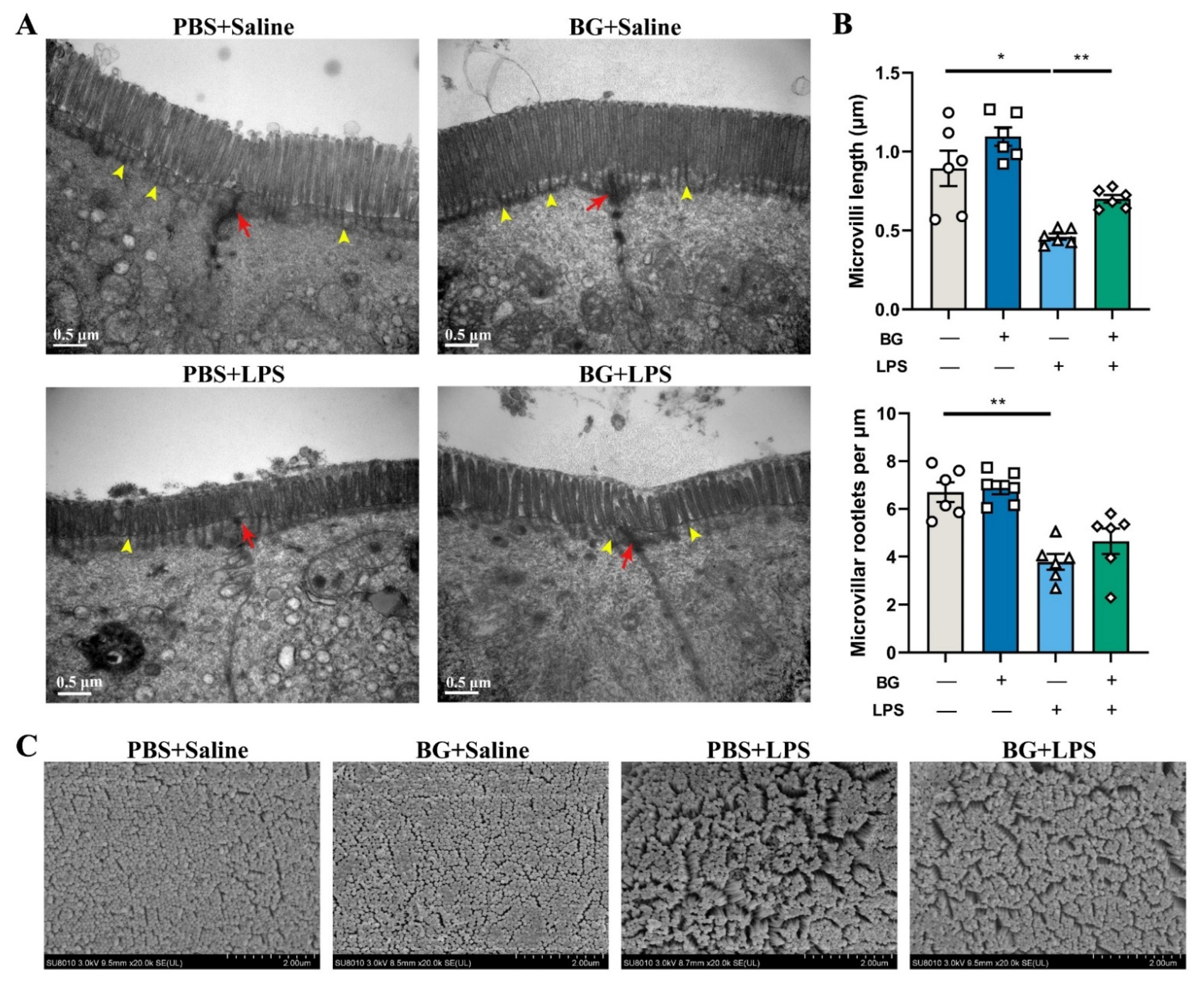 Nutrients 14 03991 g005