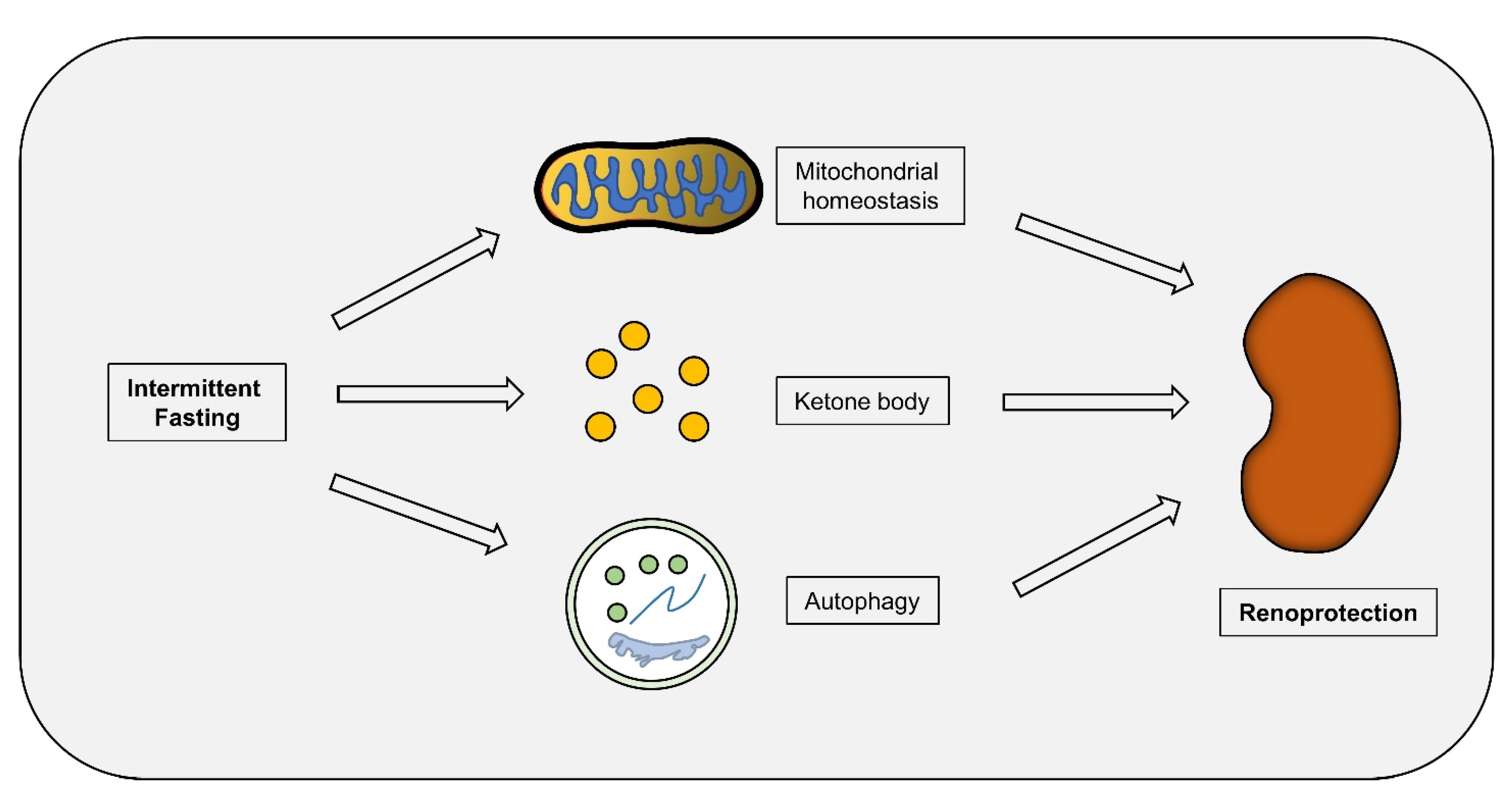 Nutrients 14 03995 g002