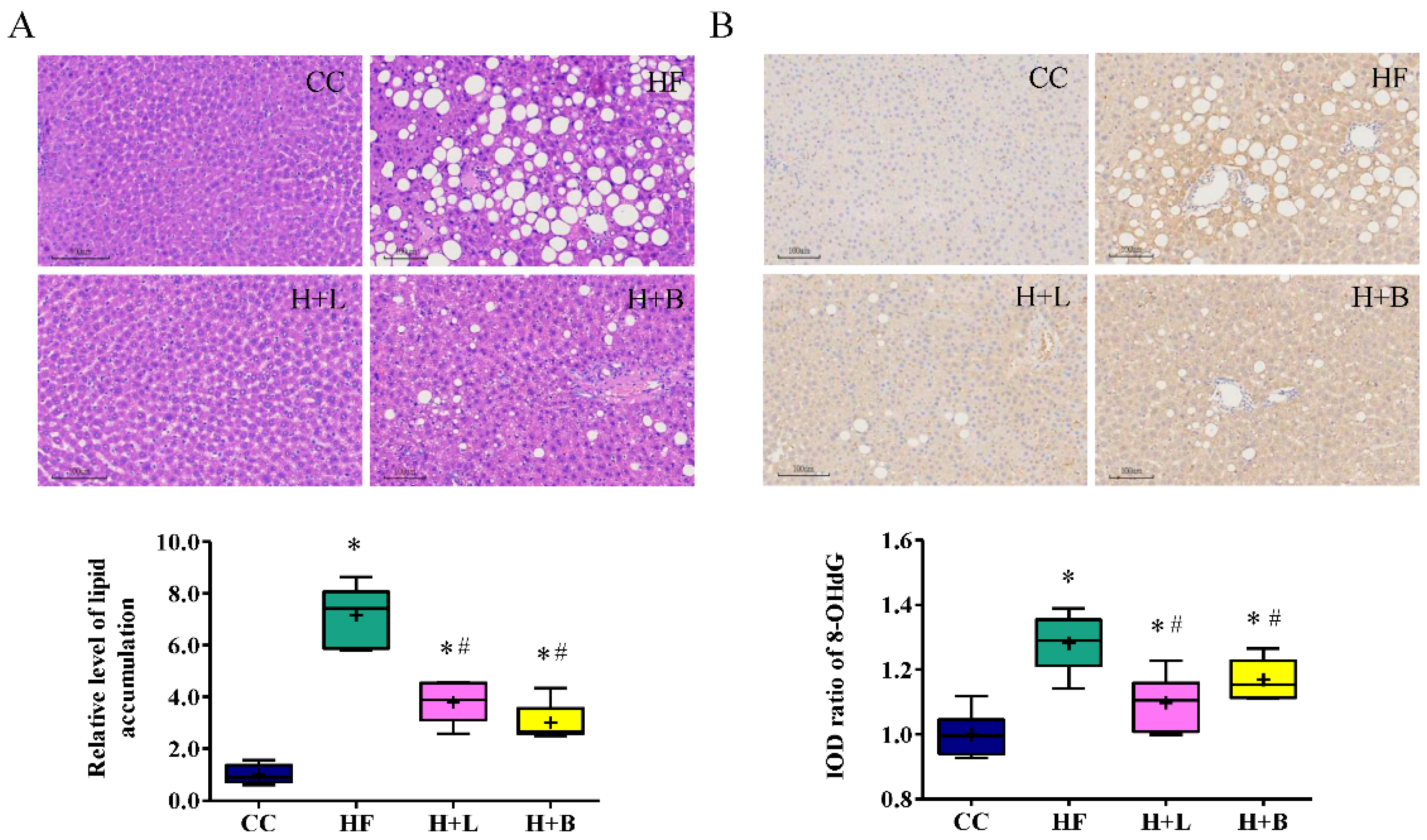Nutrients 14 04004 g003
