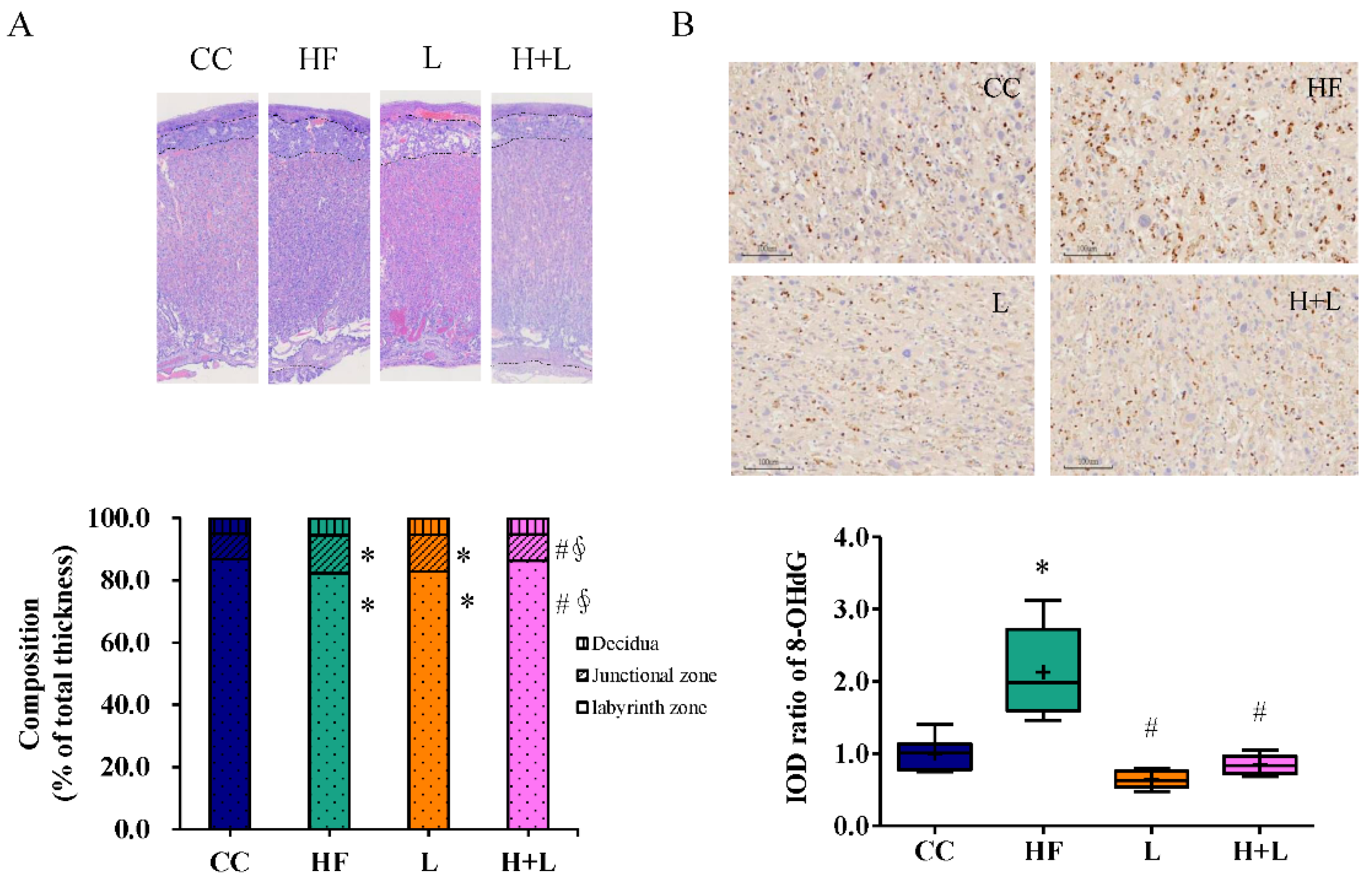Nutrients 14 04004 g006