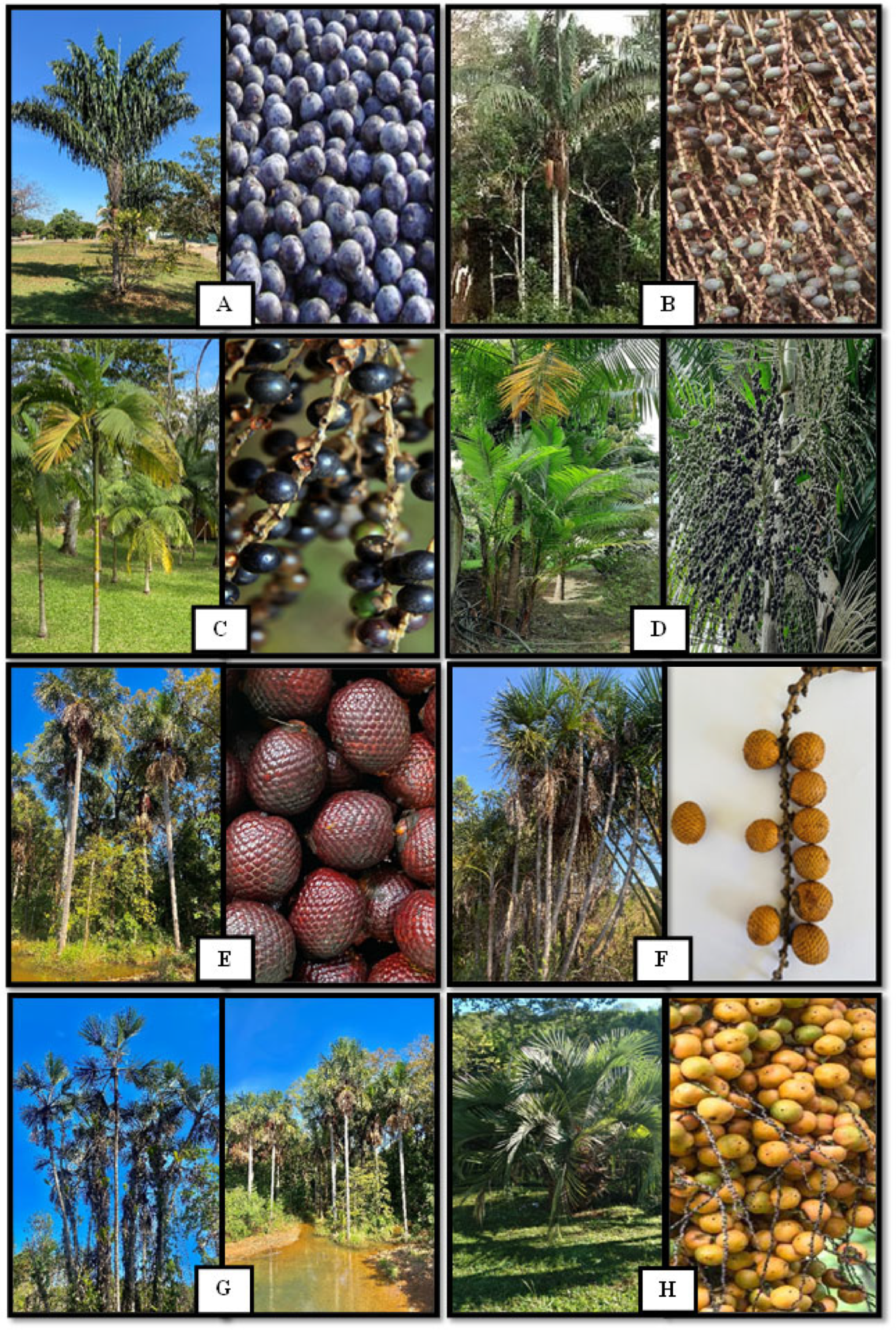 Nutrients 14 04009 g002