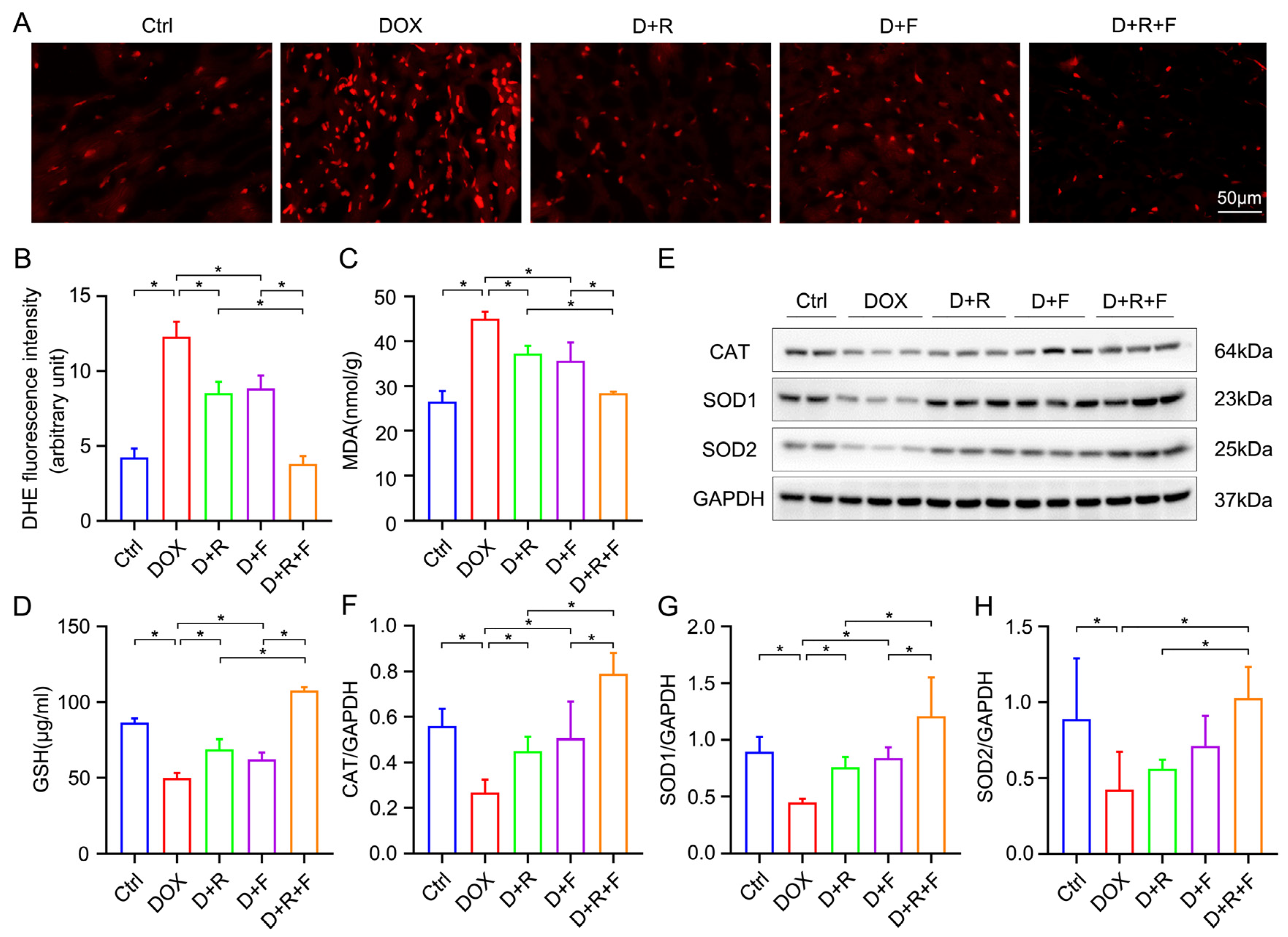 Nutrients 14 04017 g003