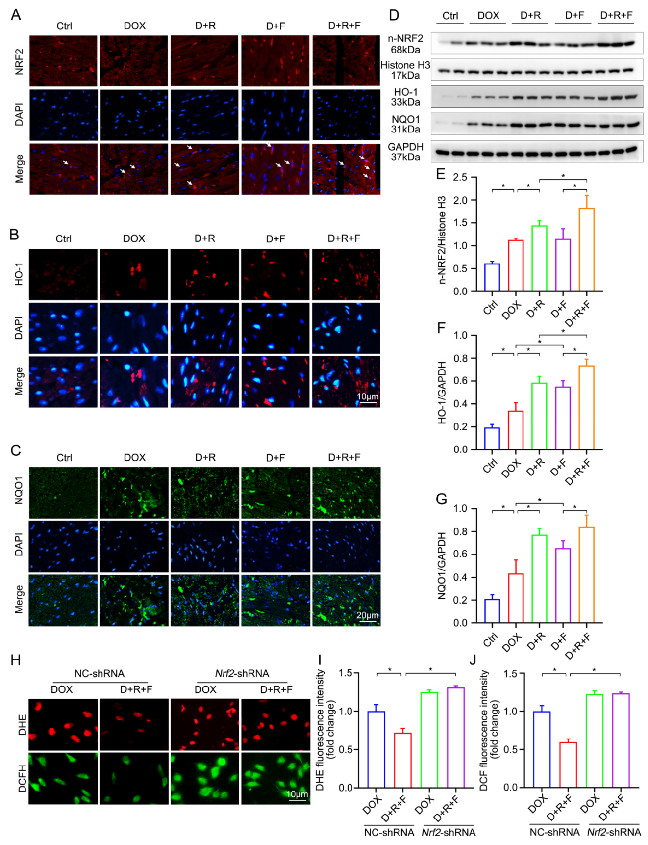 Nutrients 14 04017 g004