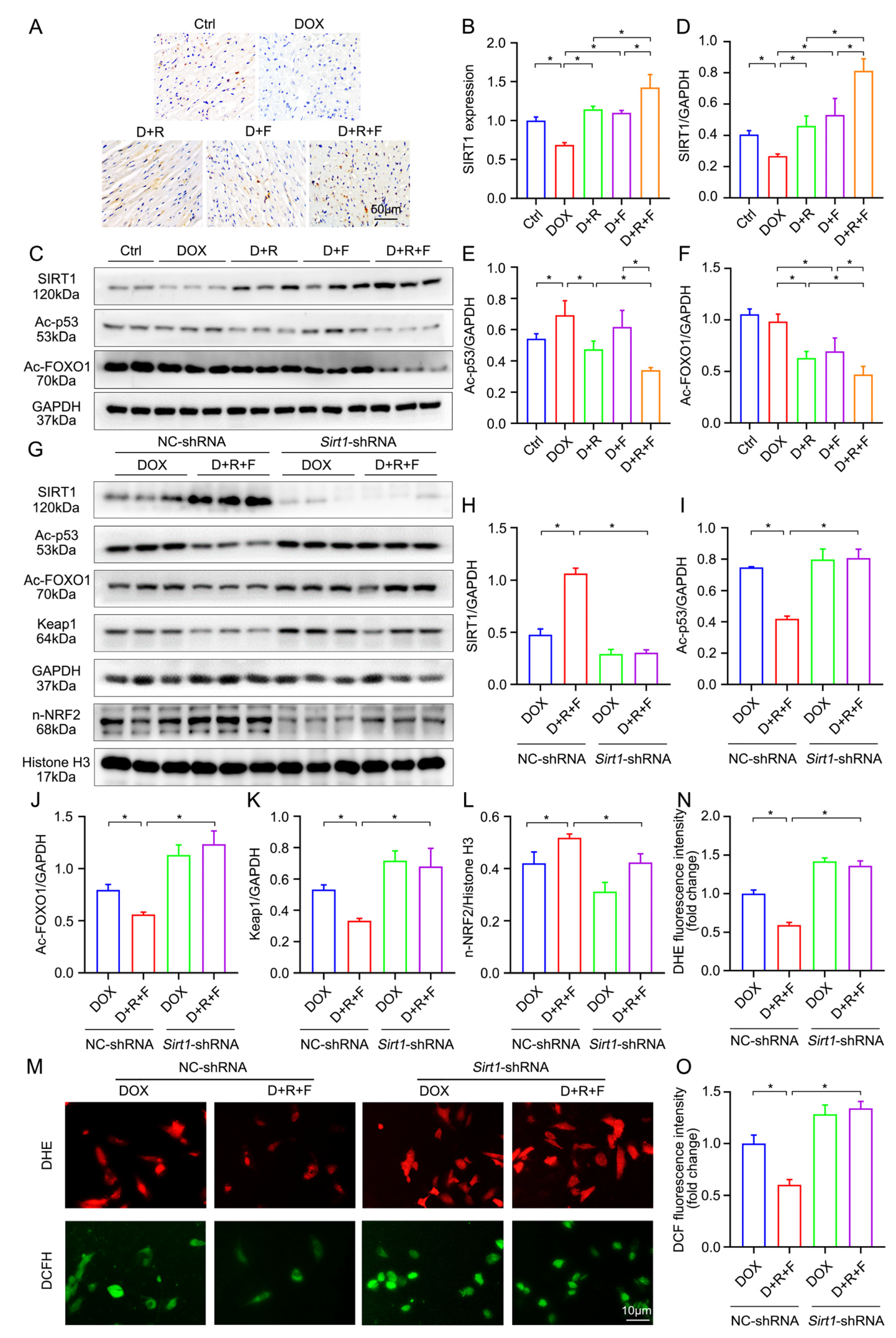 Nutrients 14 04017 g005