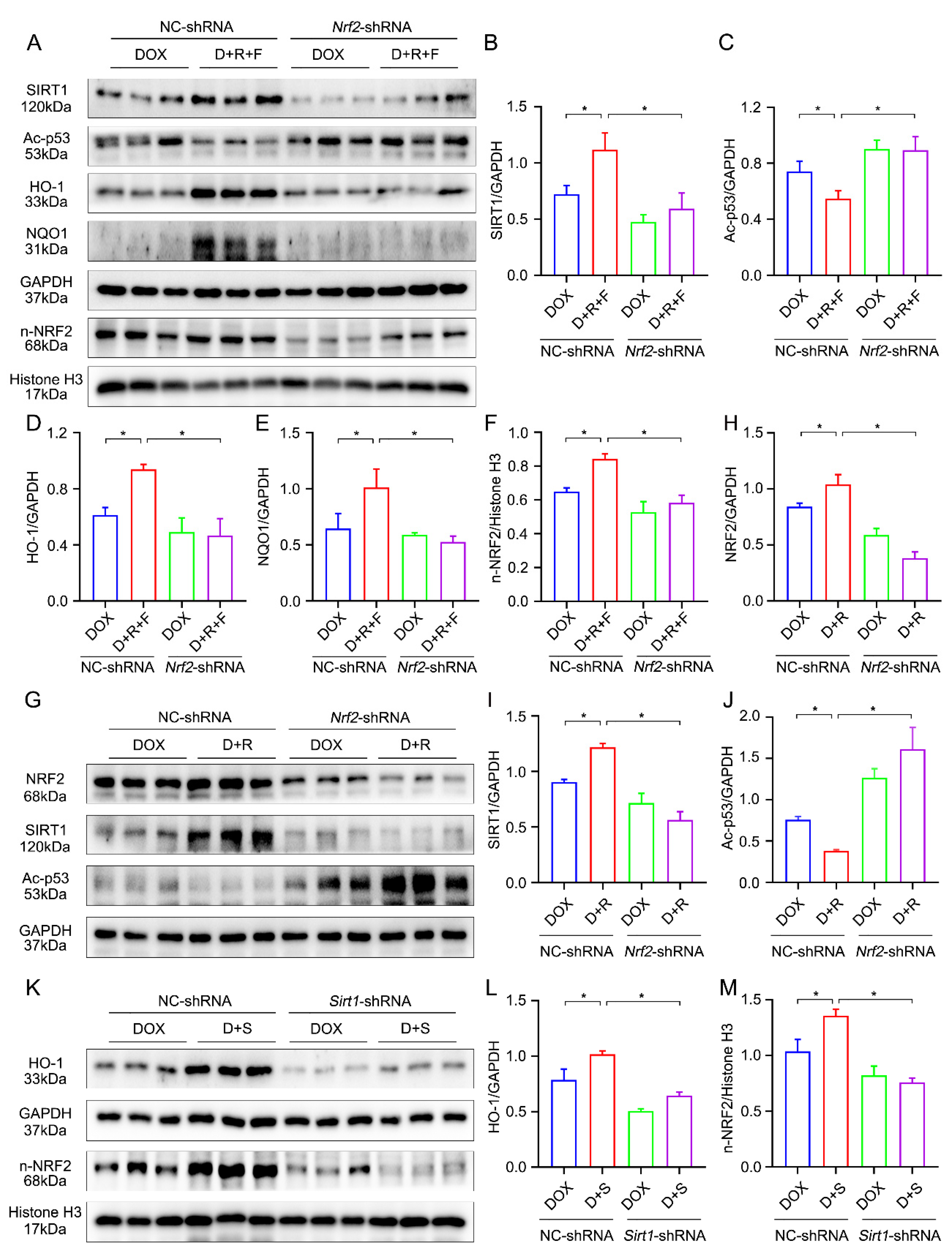 Nutrients 14 04017 g006