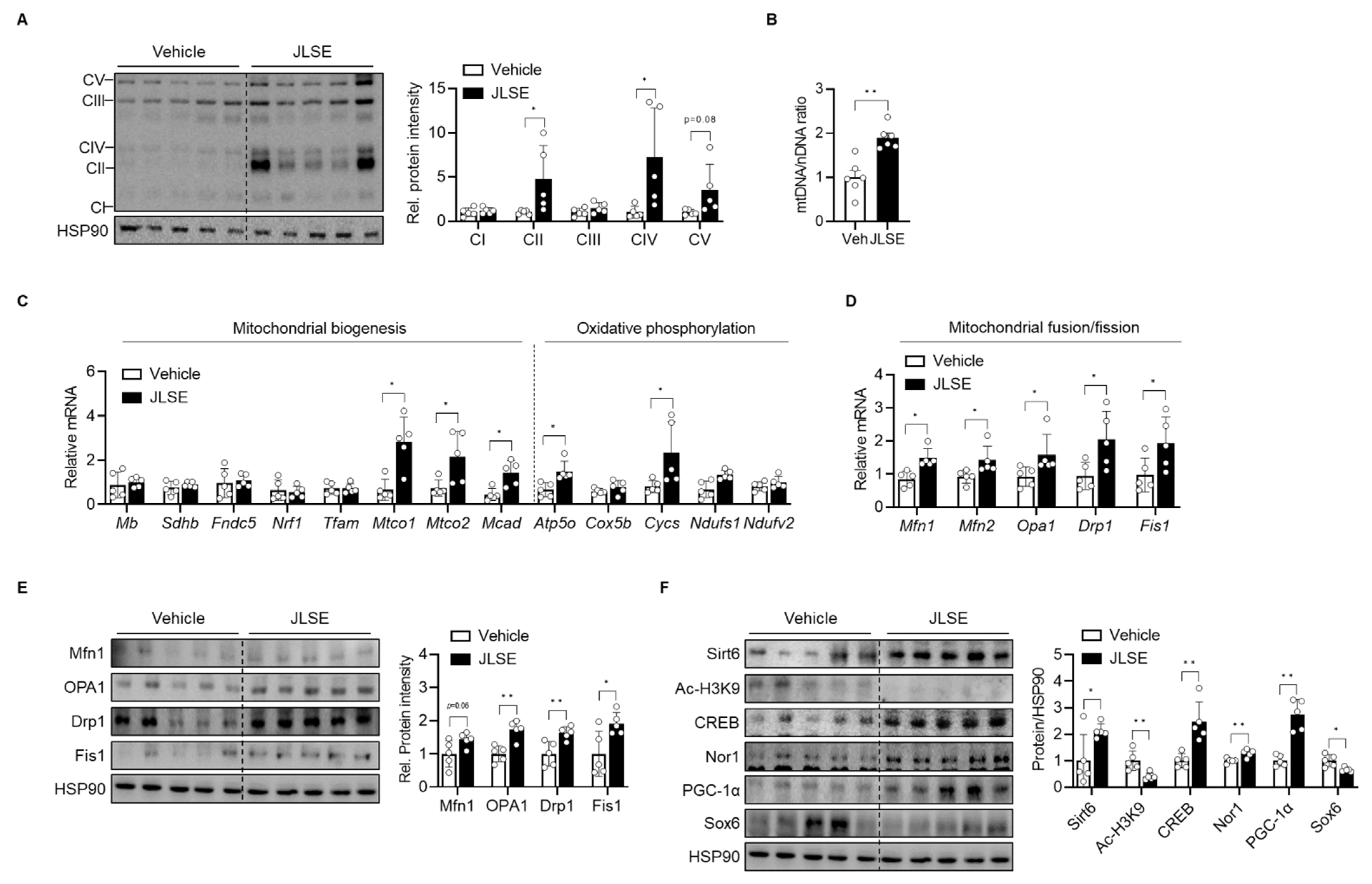 Nutrients 14 04033 g005