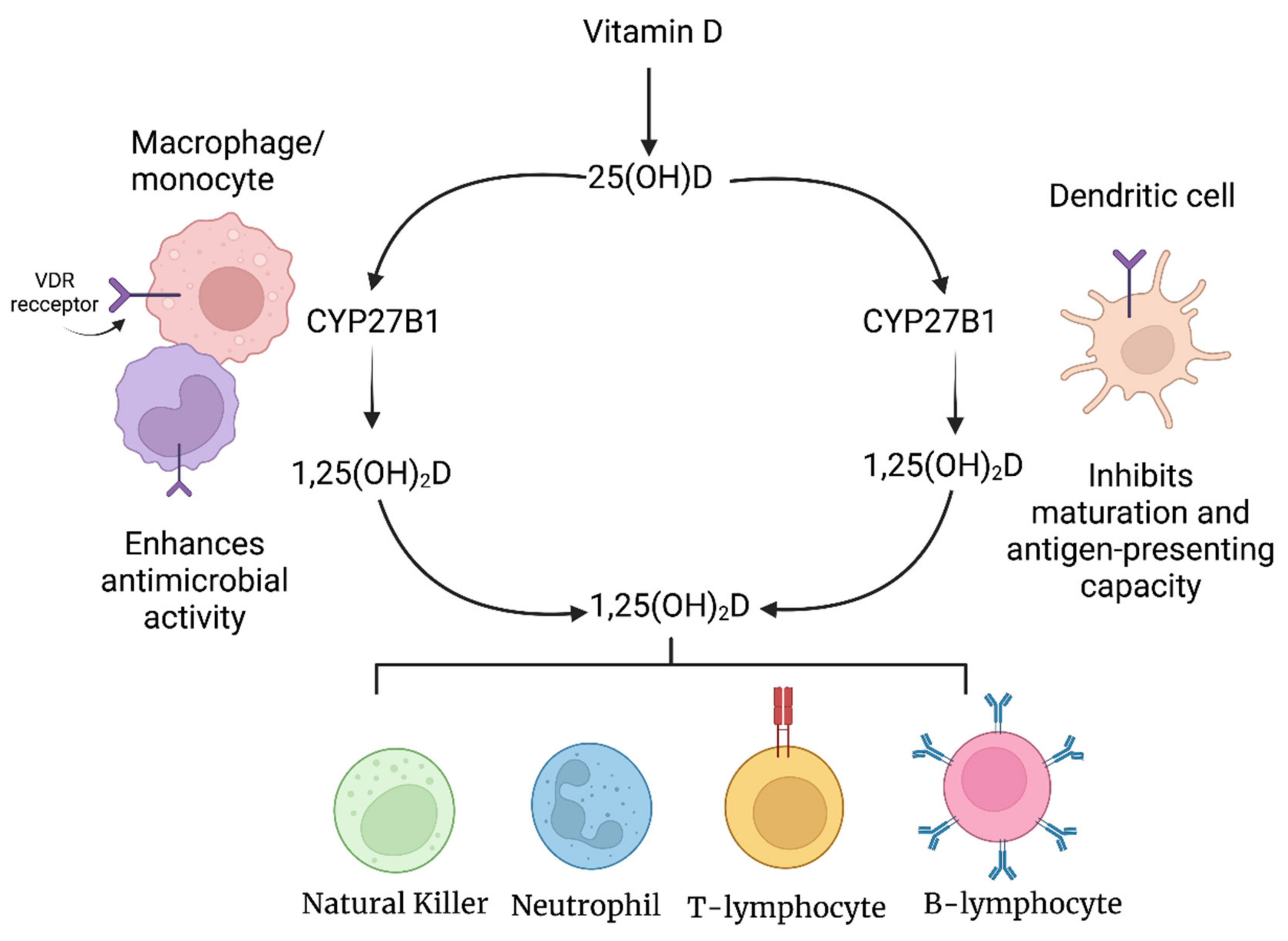 Nutrients 14 04075 g003 Nutrients 14 04075 g003