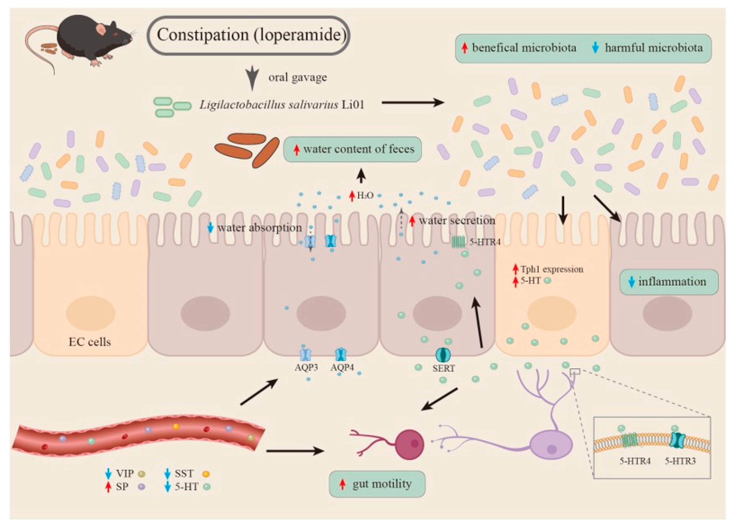 Nutrients 14 04083 g006