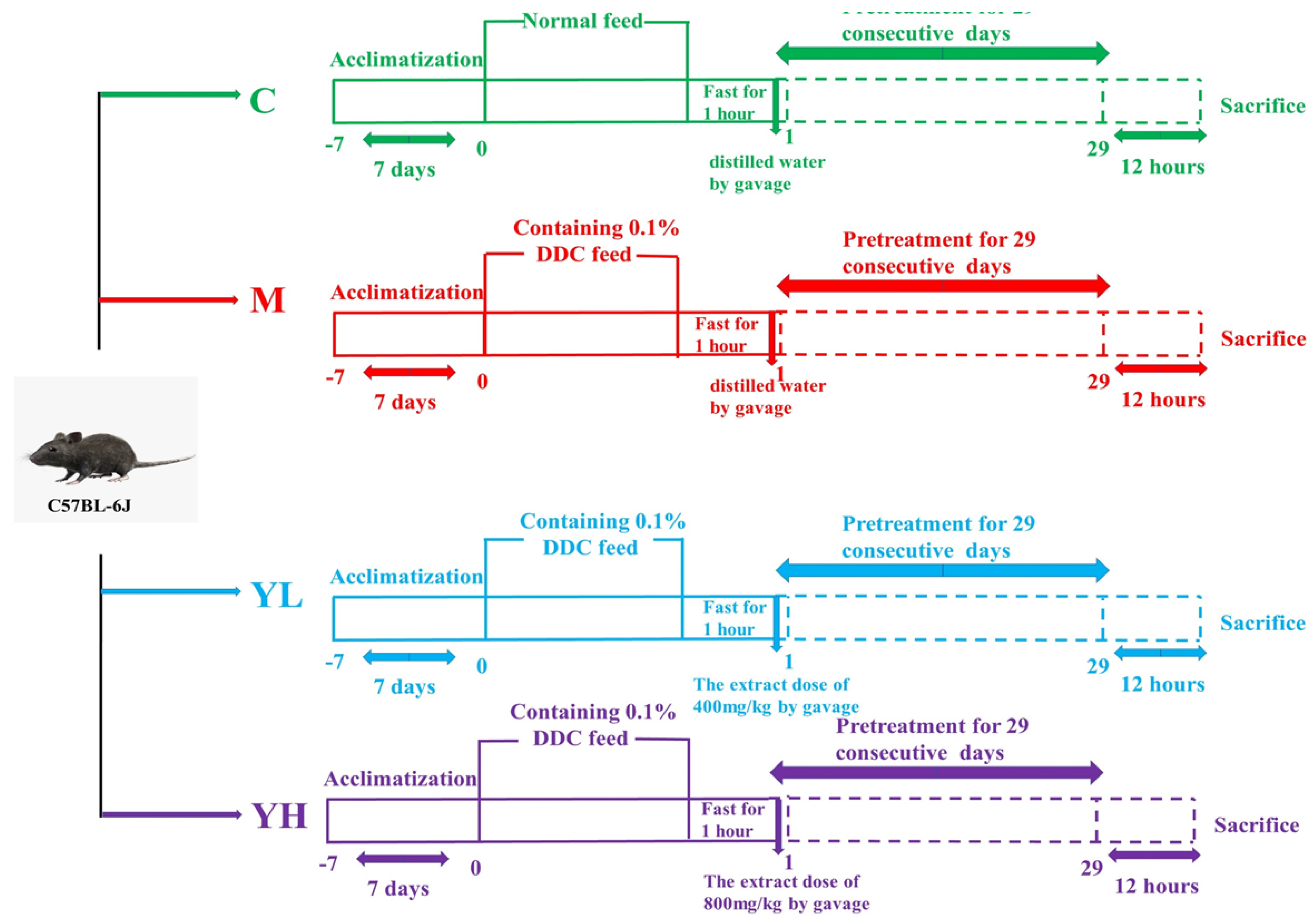 Nutrients 14 04090 g001 Nutrients 14 04090 g001