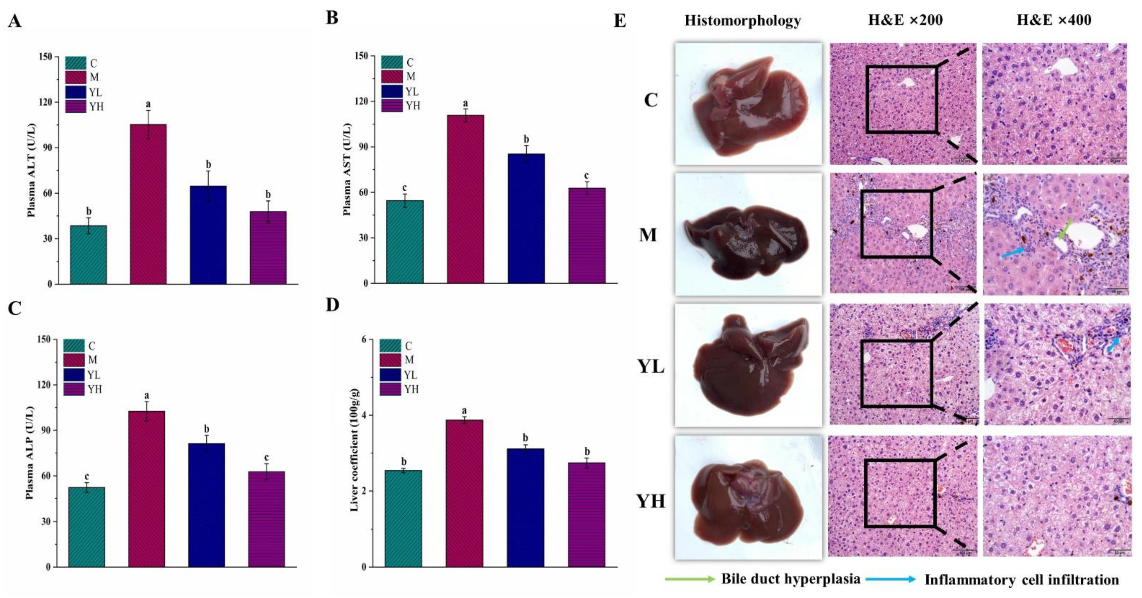 Nutrients 14 04090 g002 Nutrients 14 04090 g002