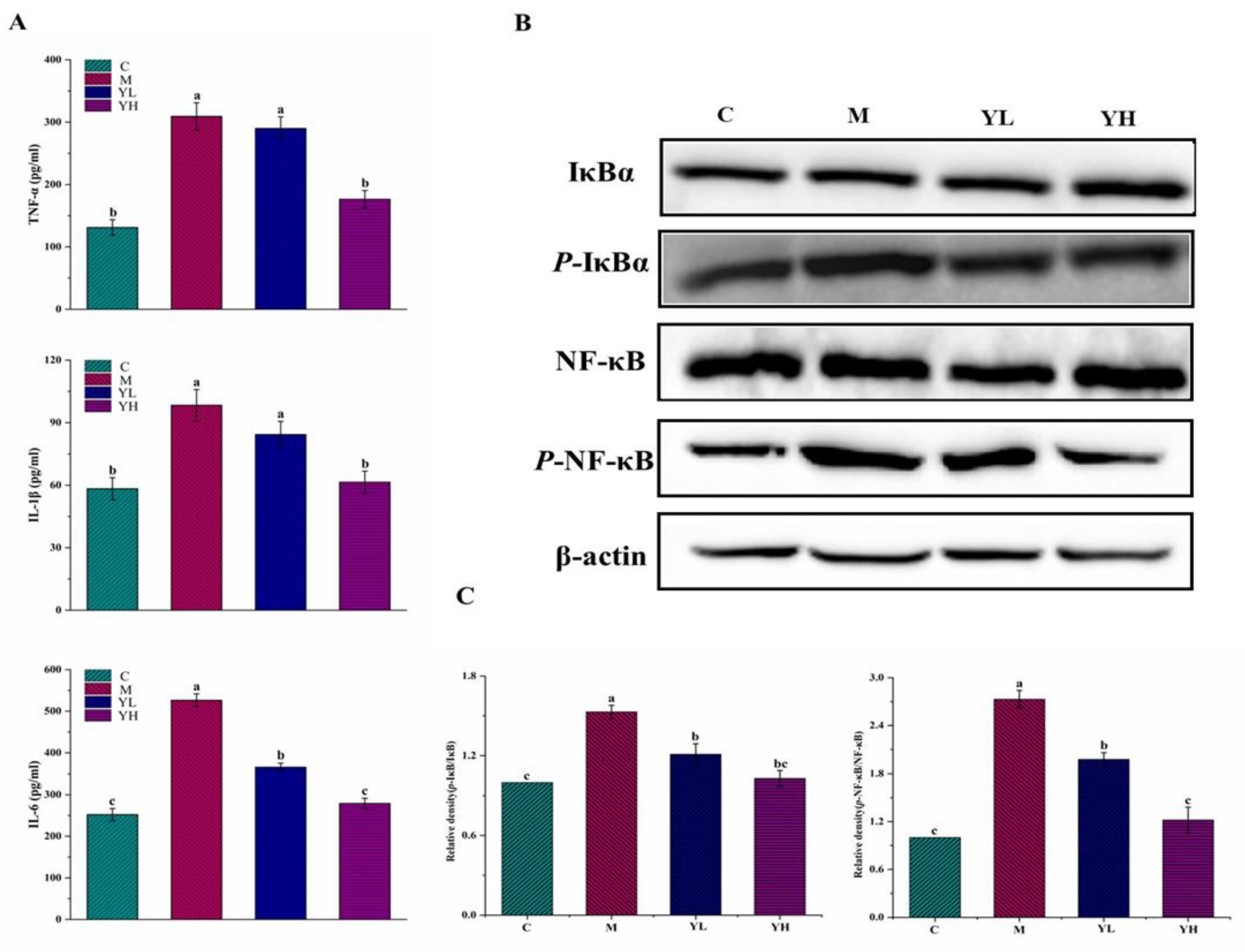 Nutrients 14 04090 g004 Nutrients 14 04090 g004