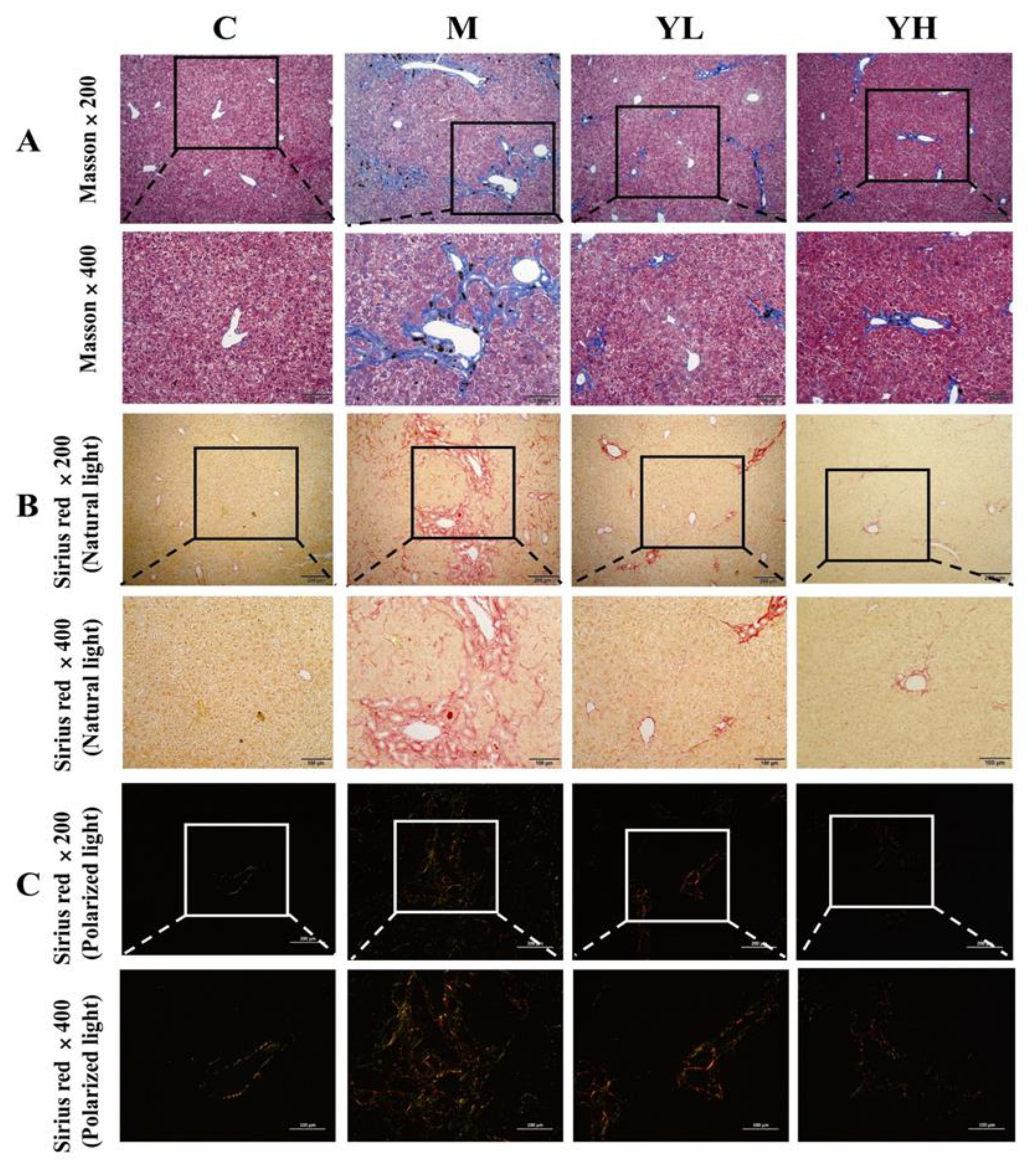 Nutrients 14 04090 g005a Nutrients 14 04090 g005a