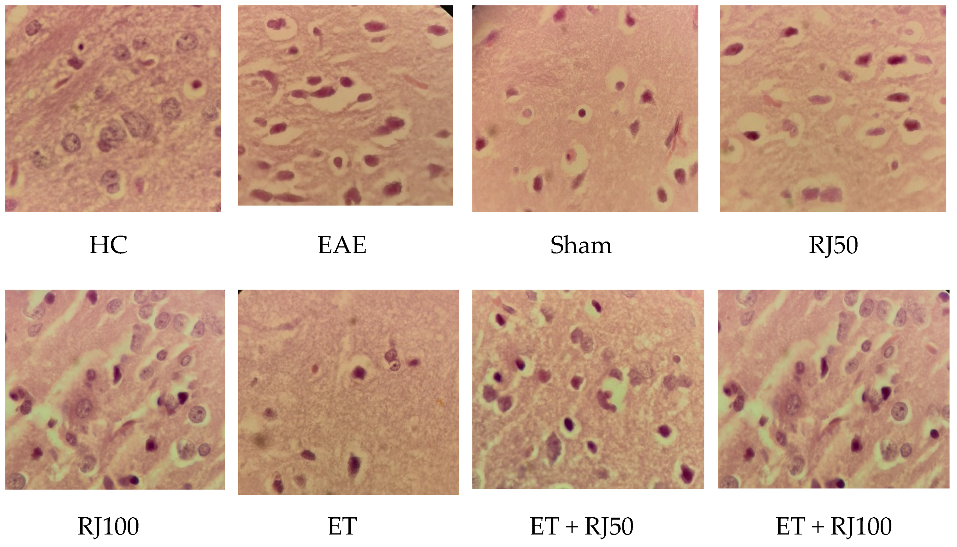 Nutrients 14 04119 g001 Nutrients 14 04119 g001