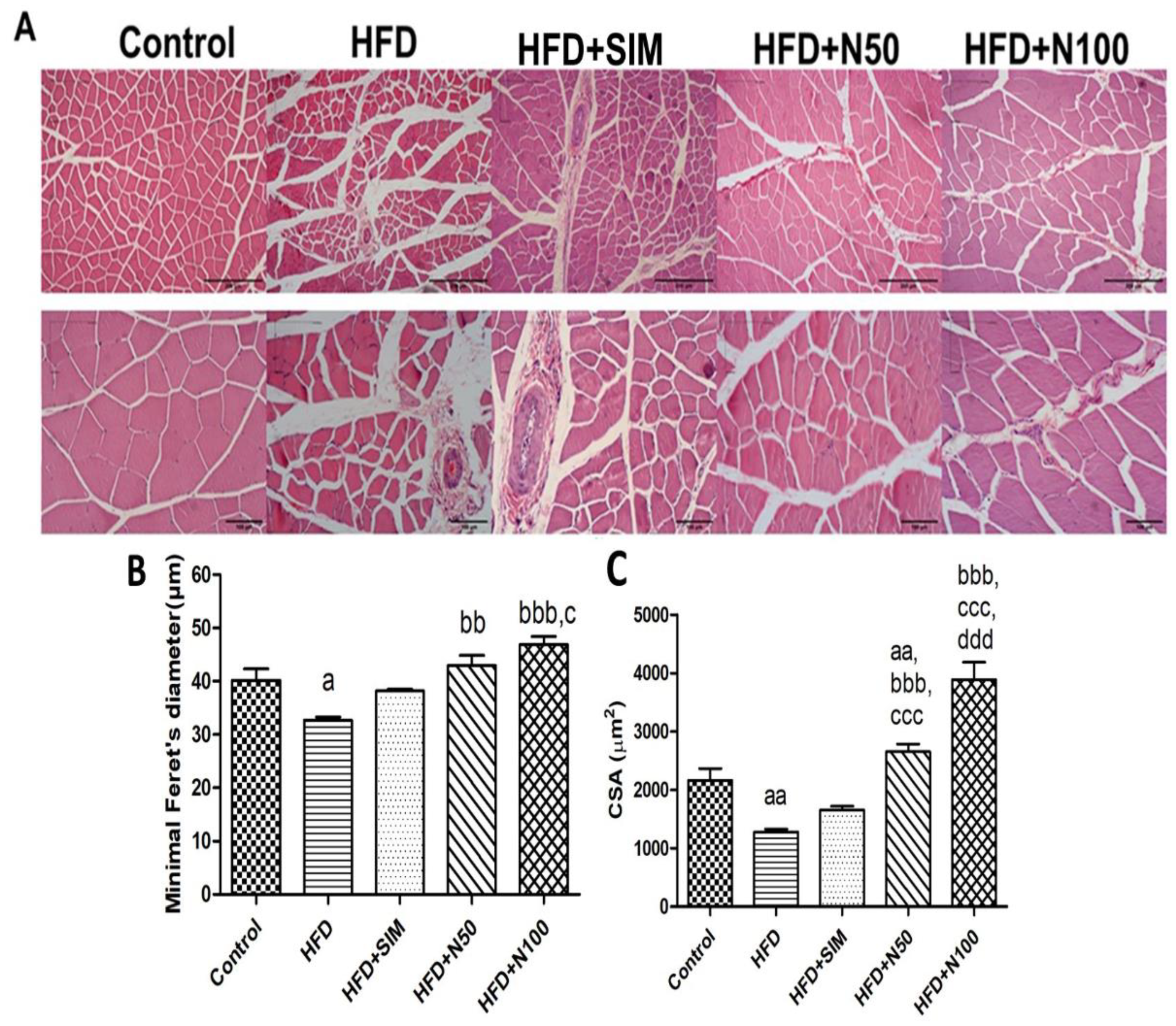 Nutrients 14 04120 g005