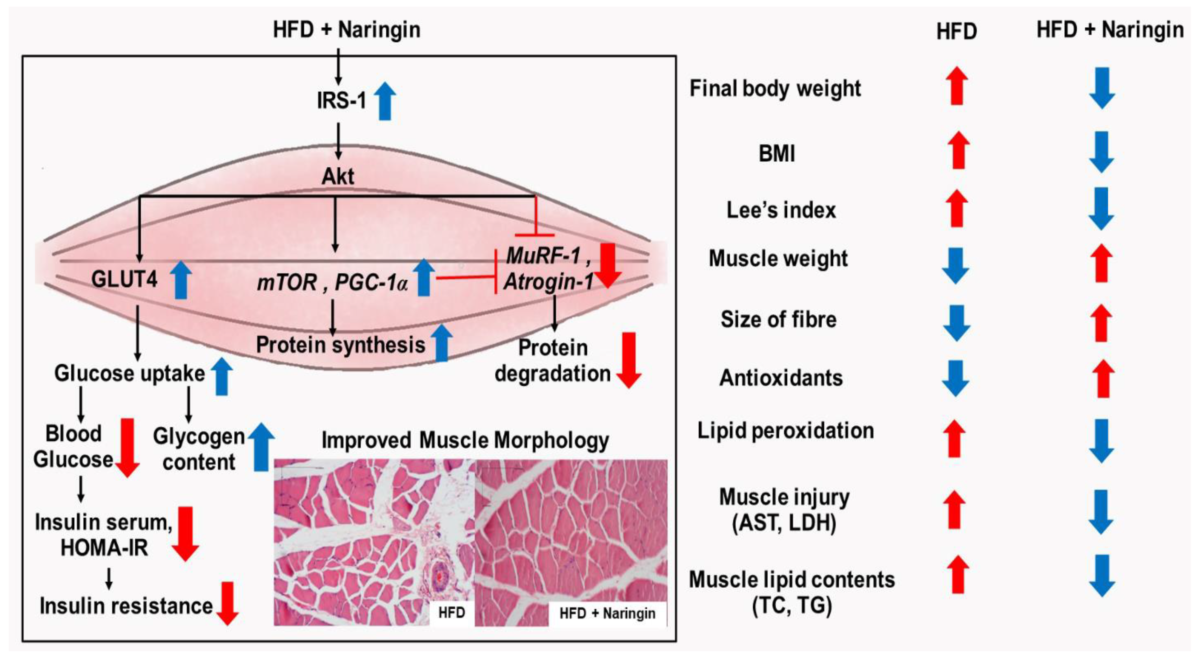 Nutrients 14 04120 g006