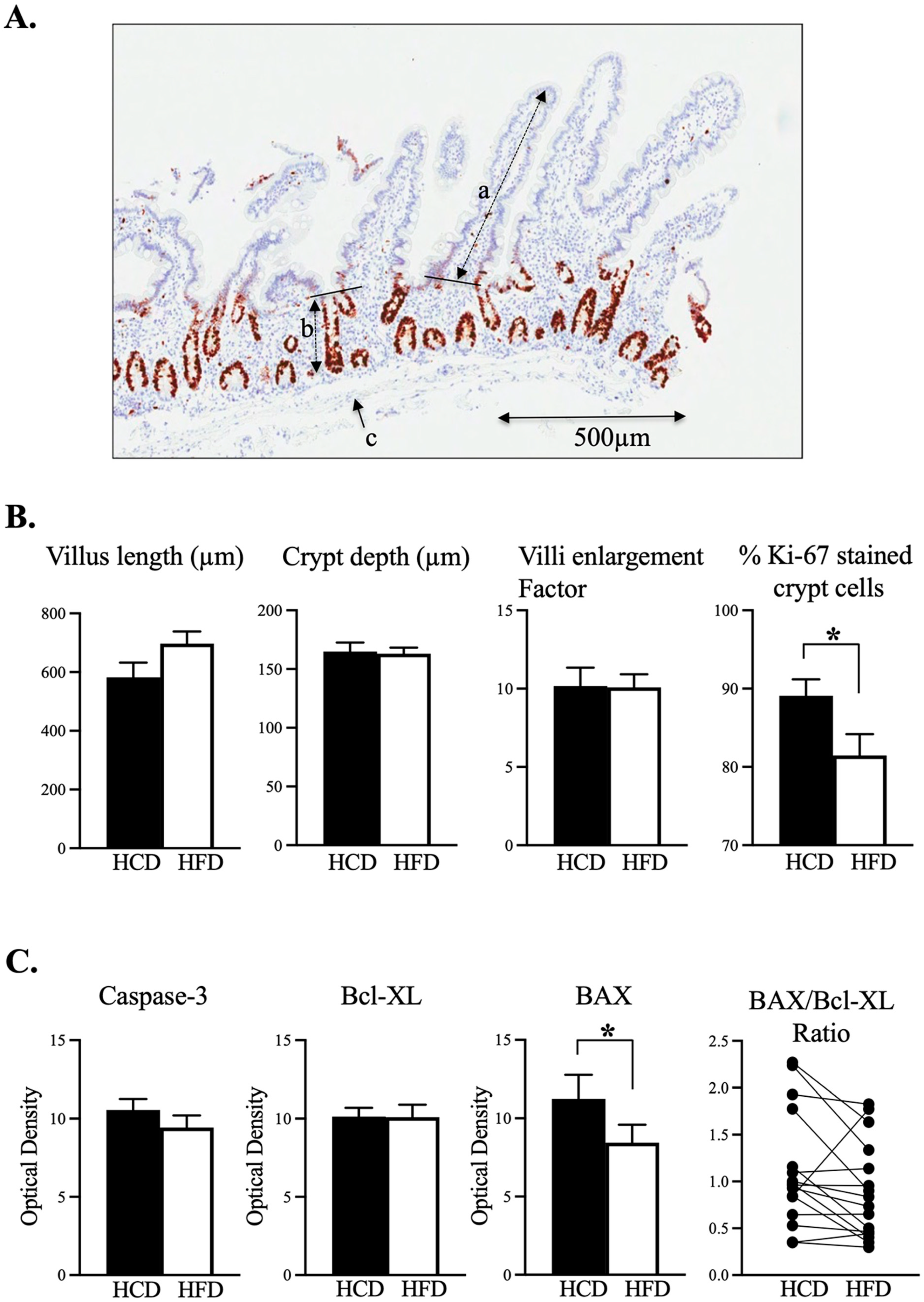 Nutrients 14 04123 g001