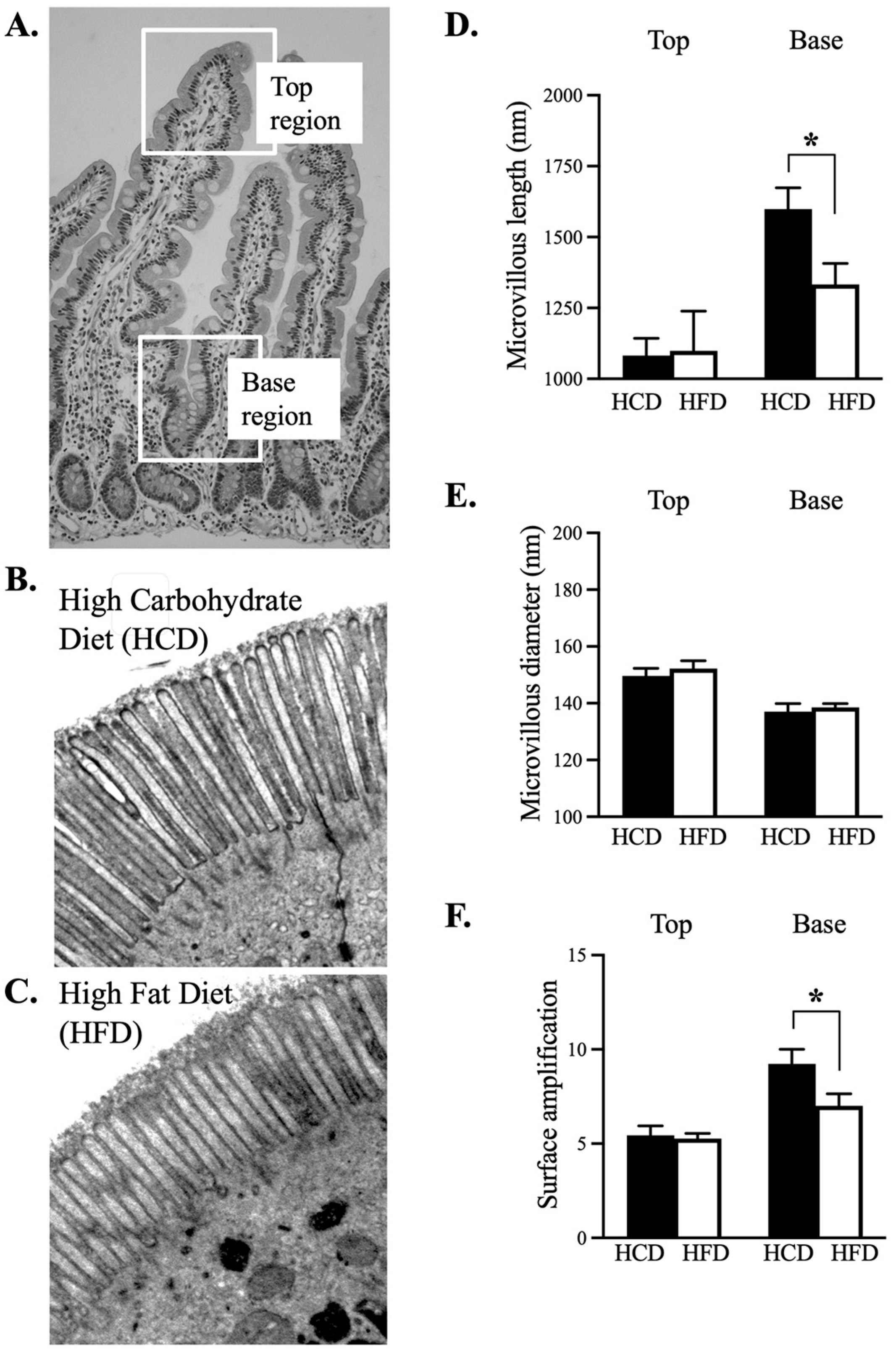 Nutrients 14 04123 g002