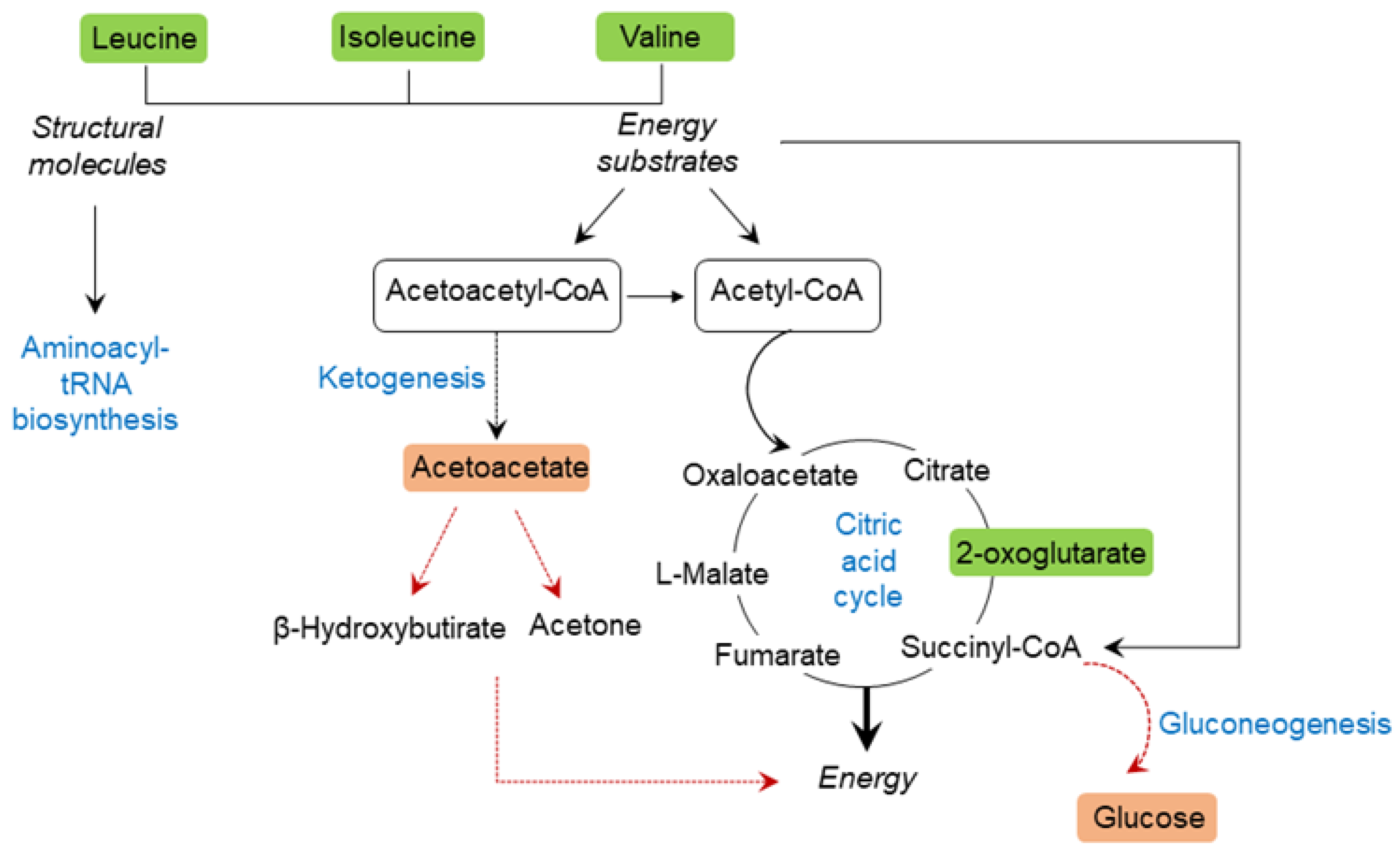 Nutrients 14 04127 g006
