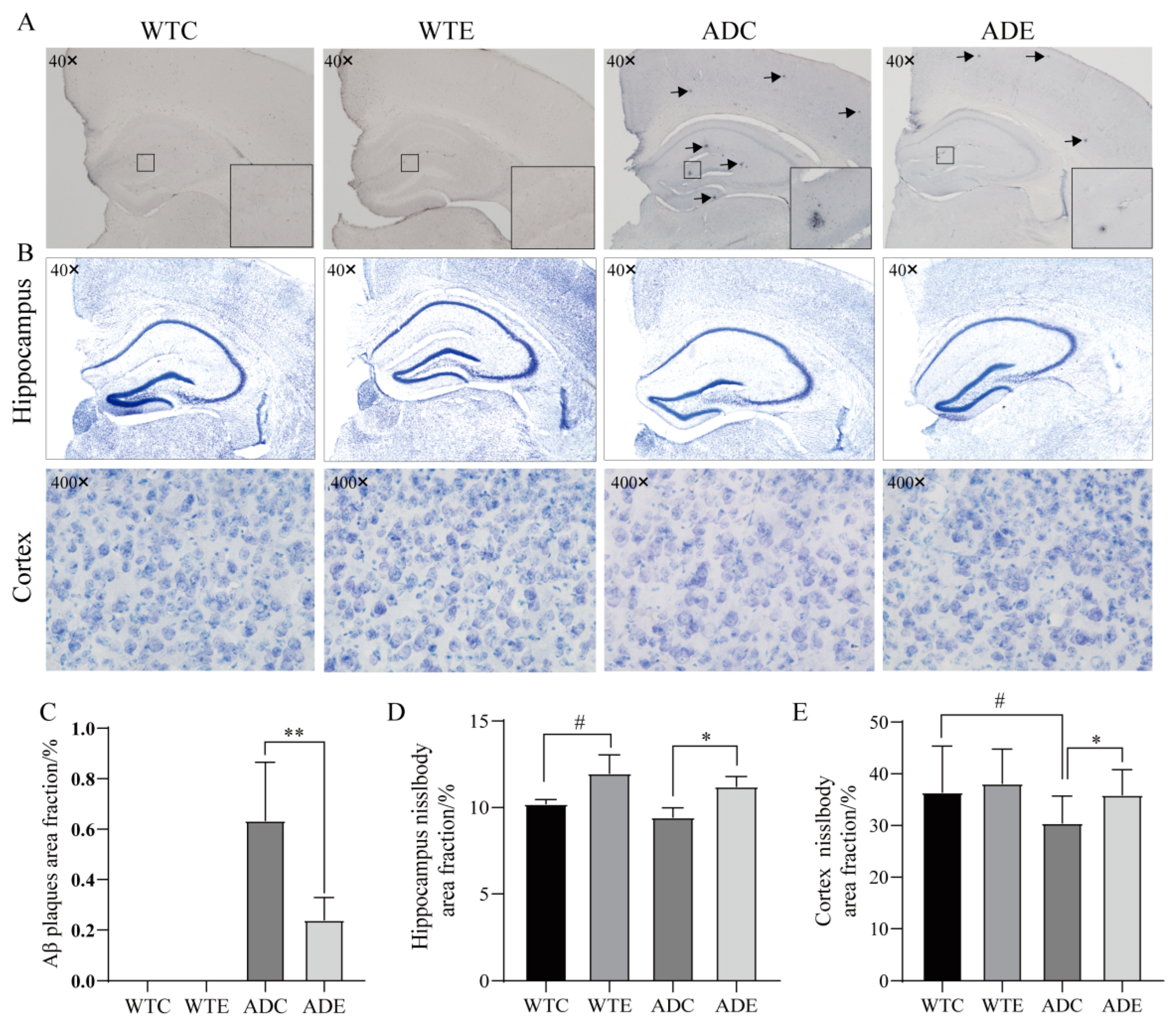 Nutrients 14 04134 g003