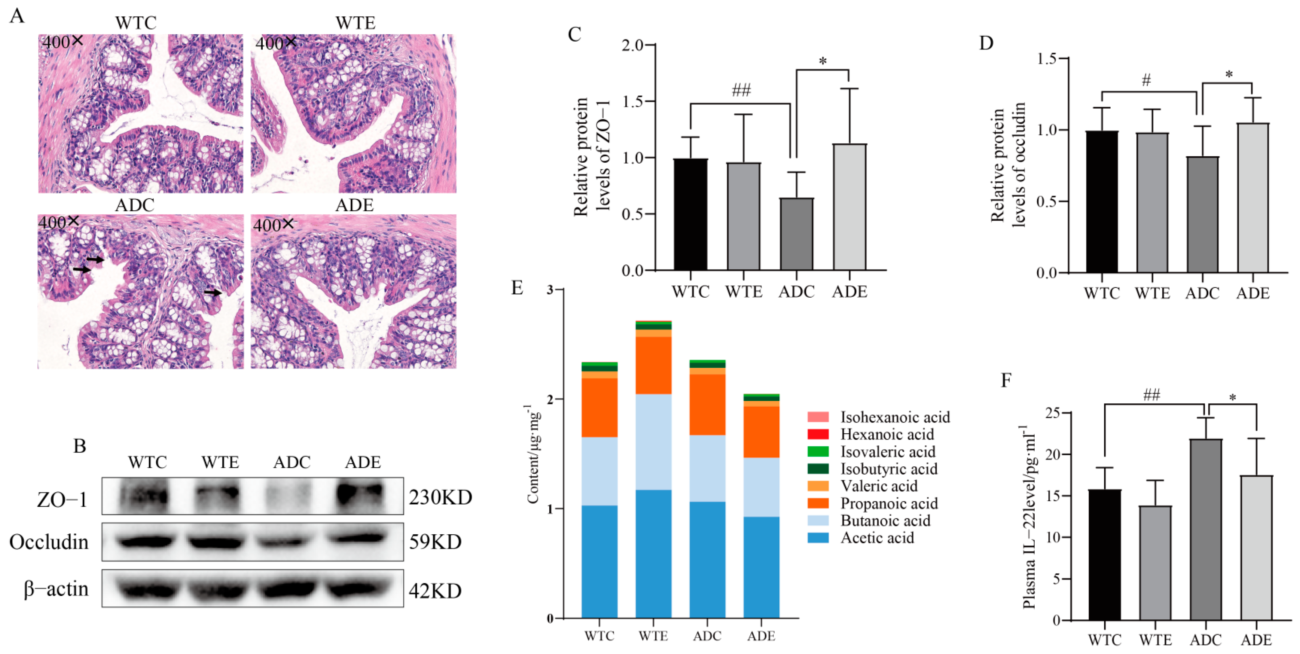 Nutrients 14 04134 g005