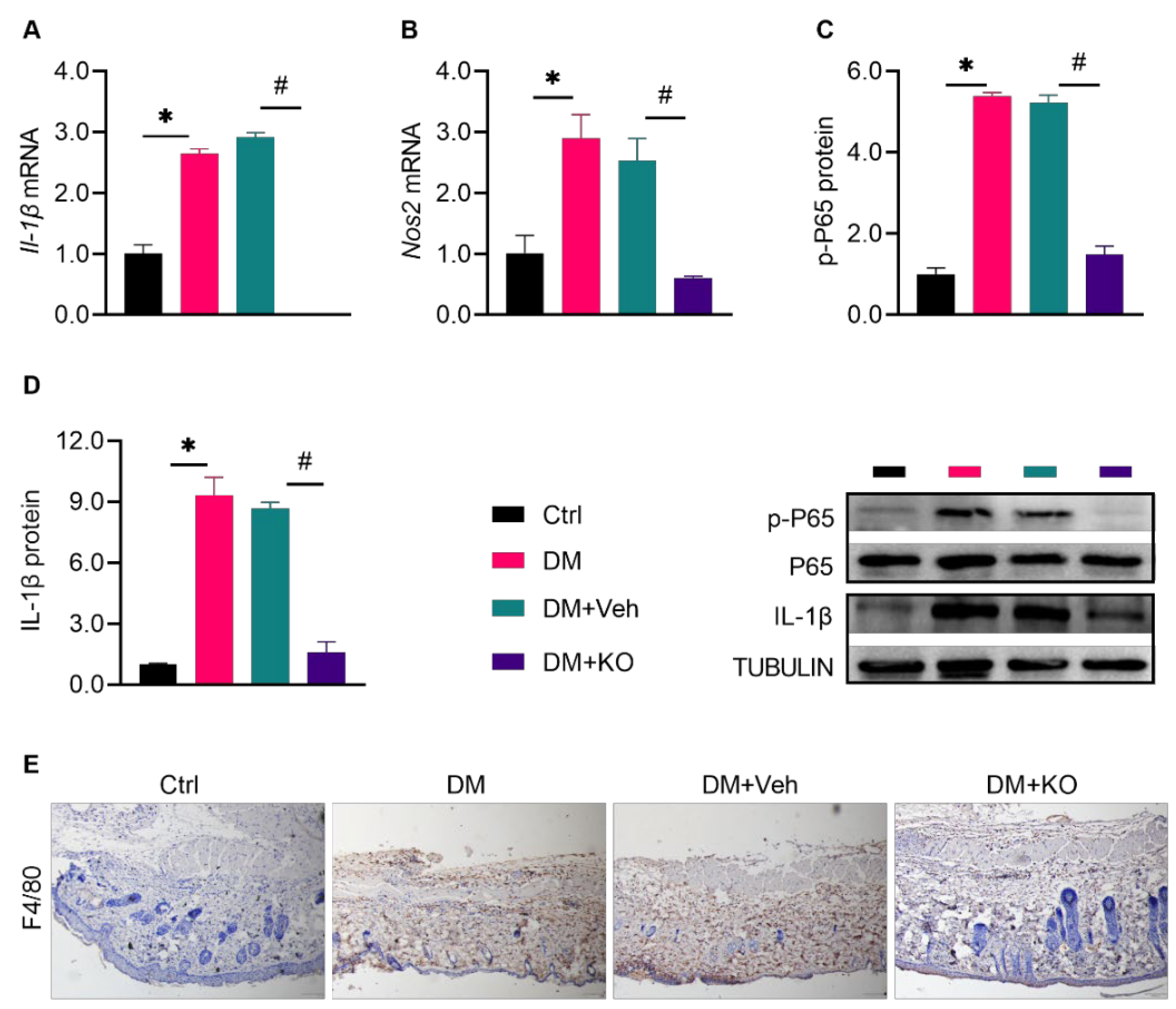 Nutrients 14 04139 g003
