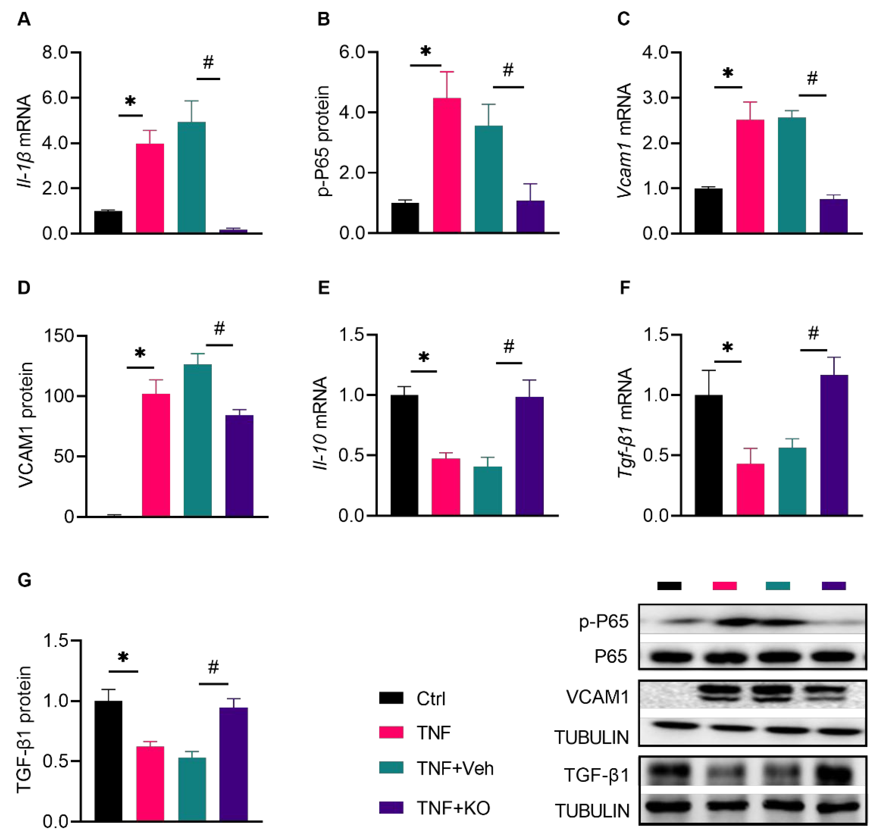 Nutrients 14 04139 g004