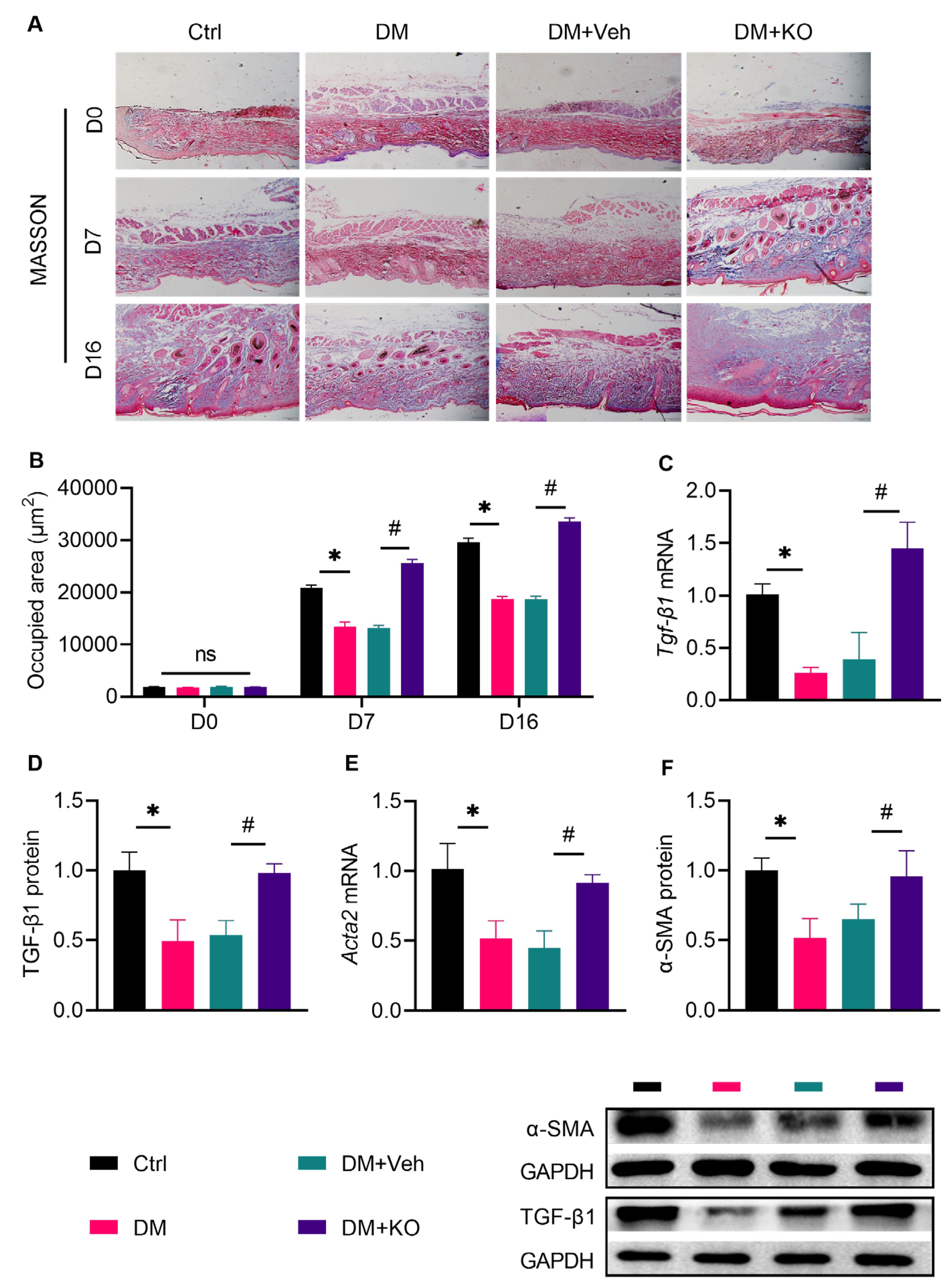 Nutrients 14 04139 g005