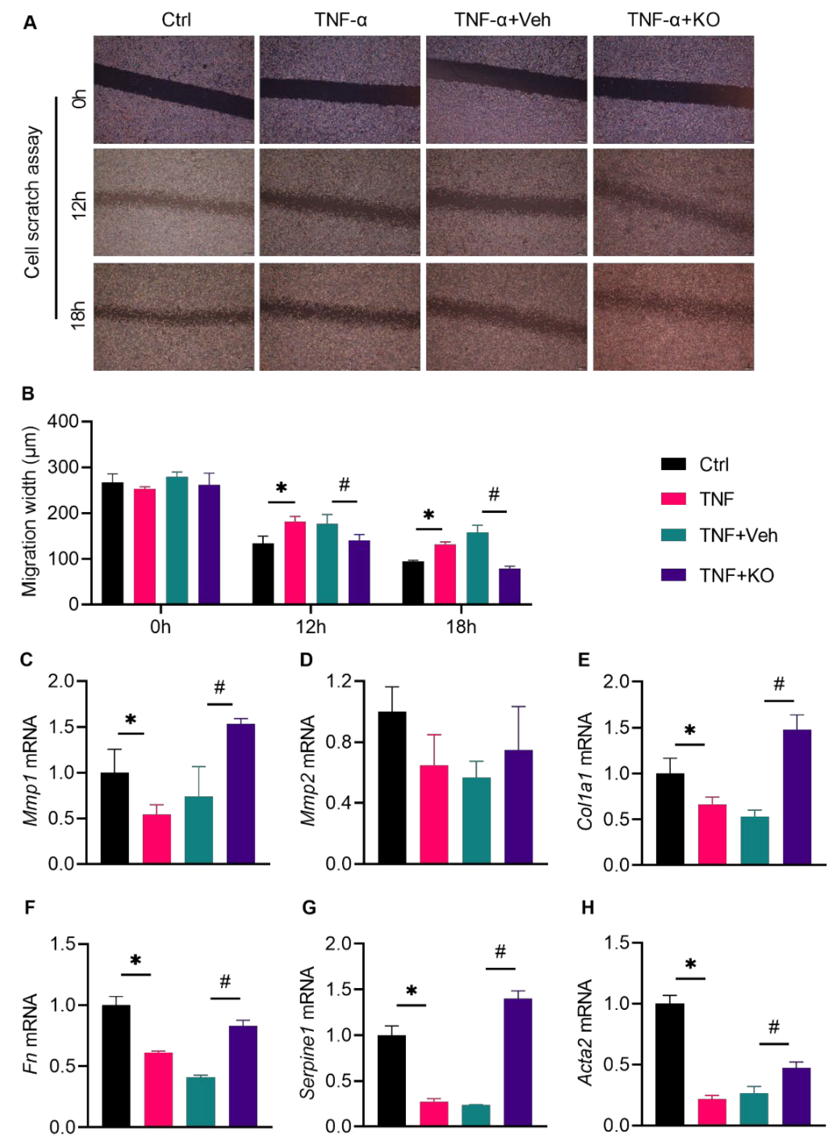 Nutrients 14 04139 g006