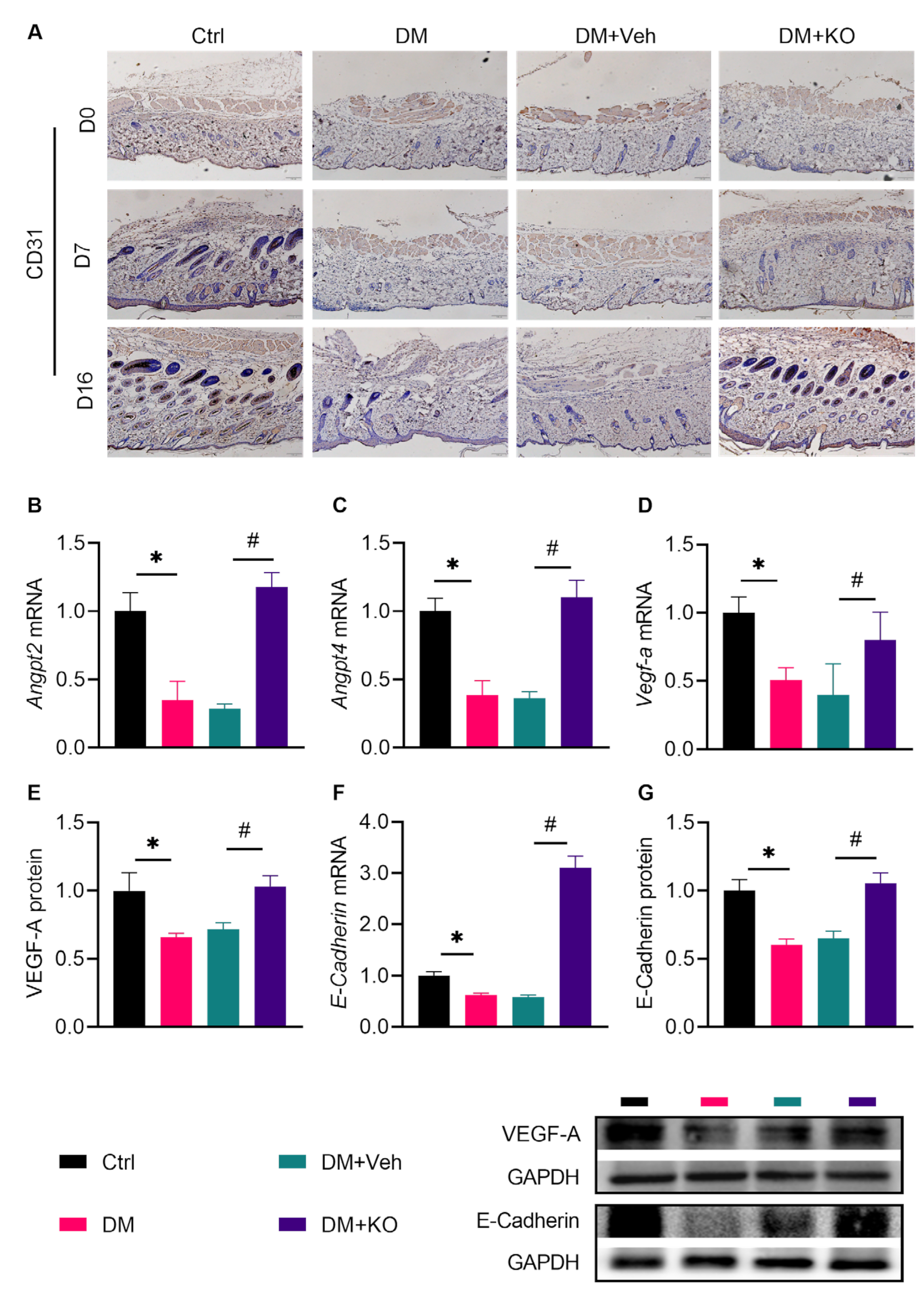 Nutrients 14 04139 g007