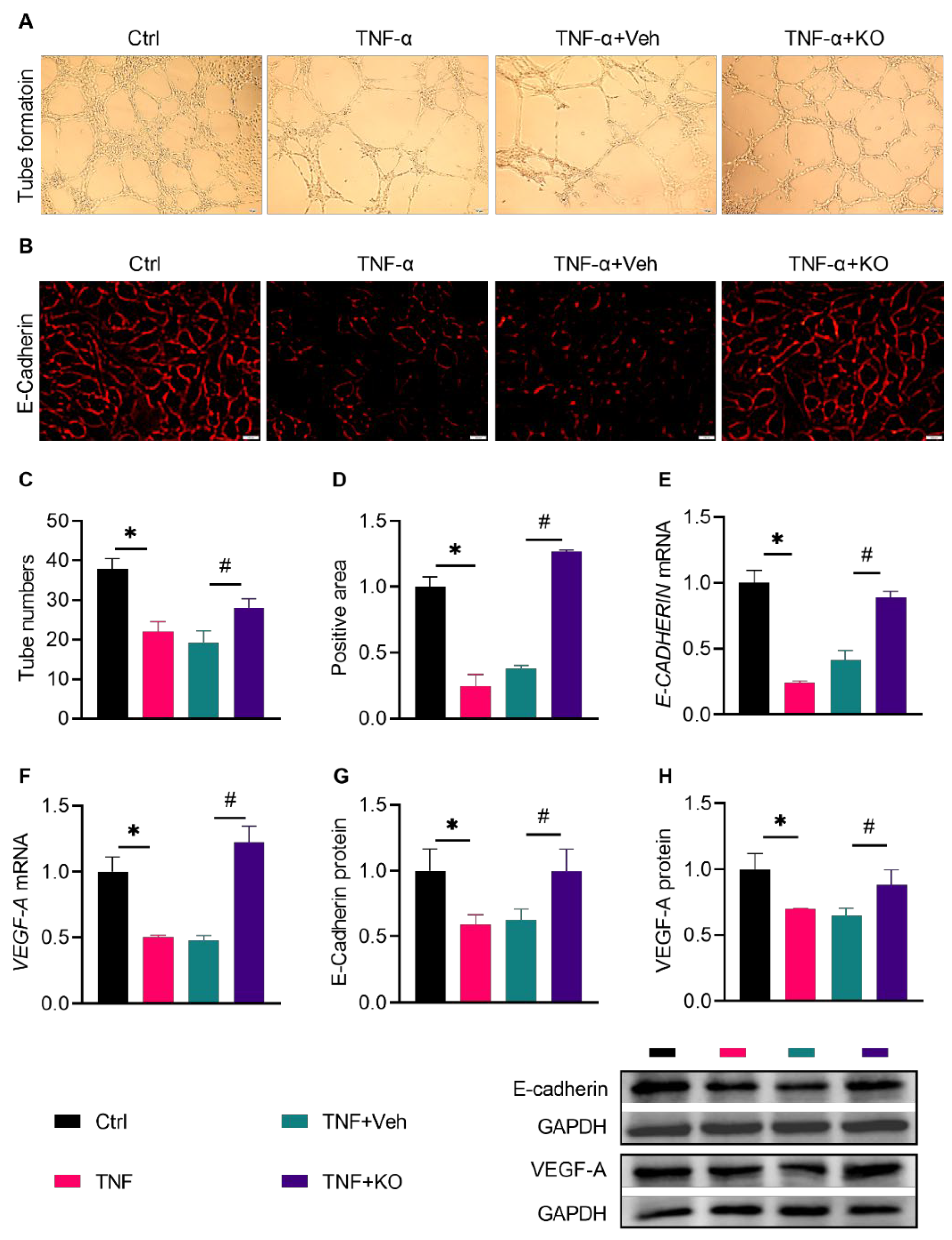 Nutrients 14 04139 g008