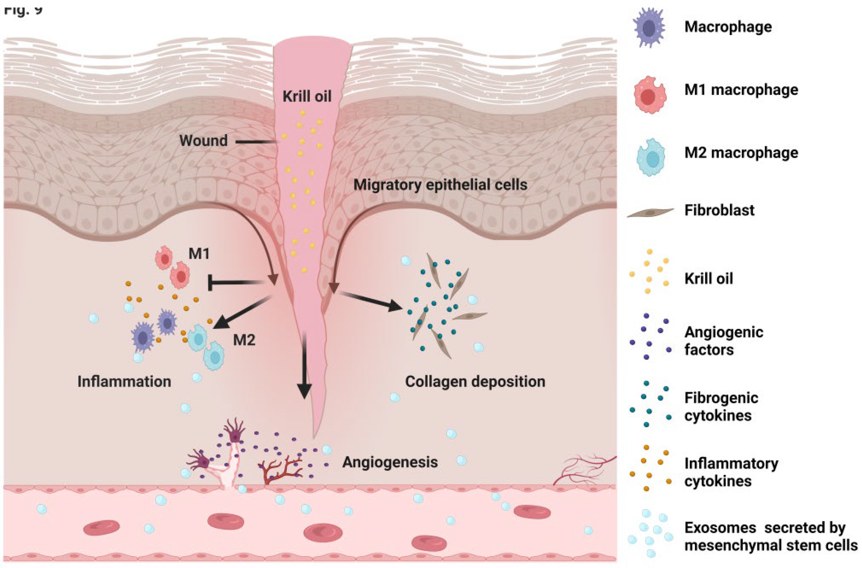 Nutrients 14 04139 g009