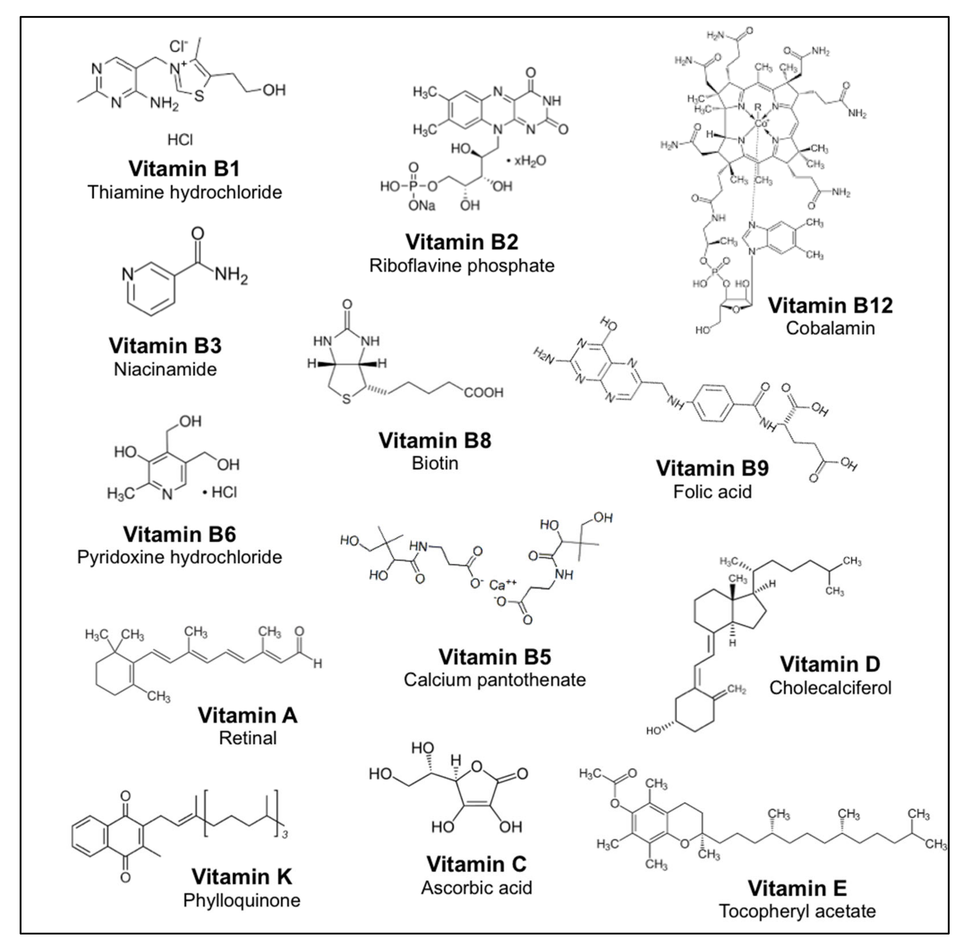 Nutrients 14 04141 g001