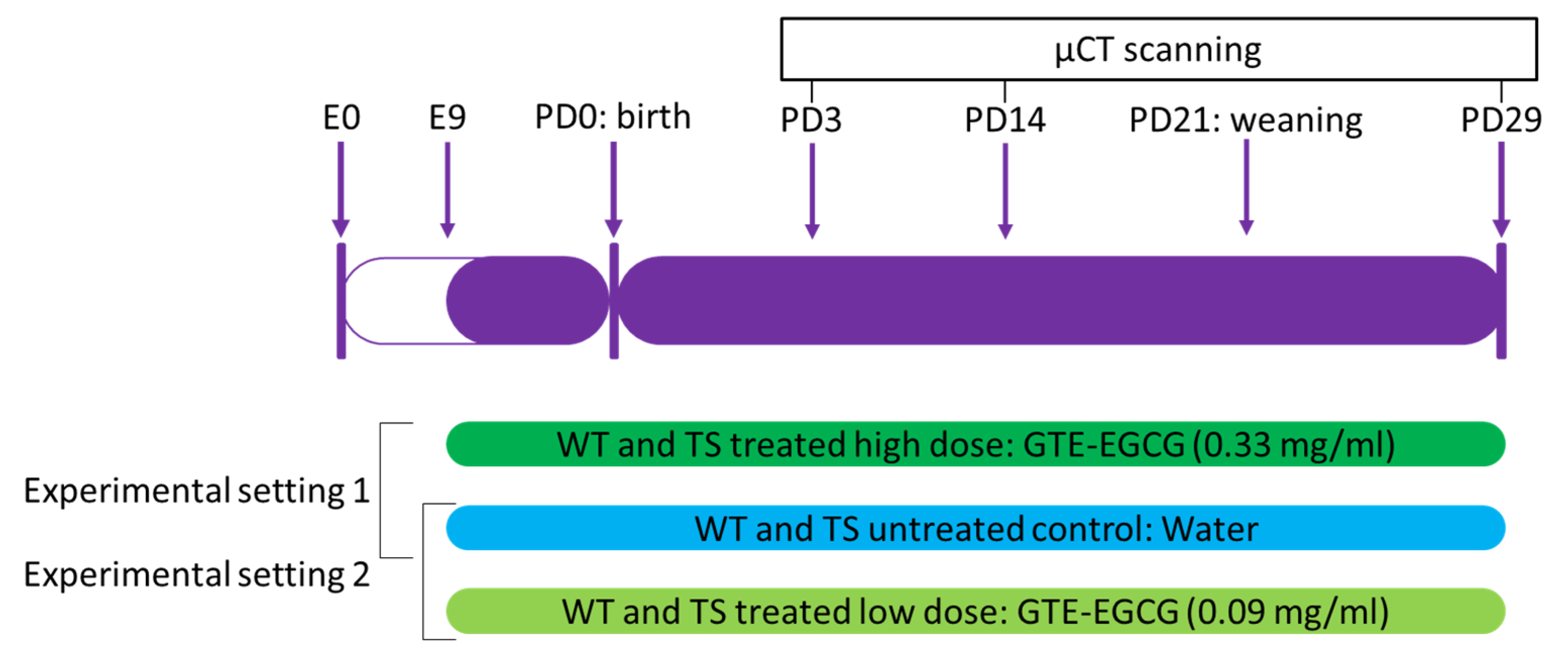 Nutrients 14 04167 g001
