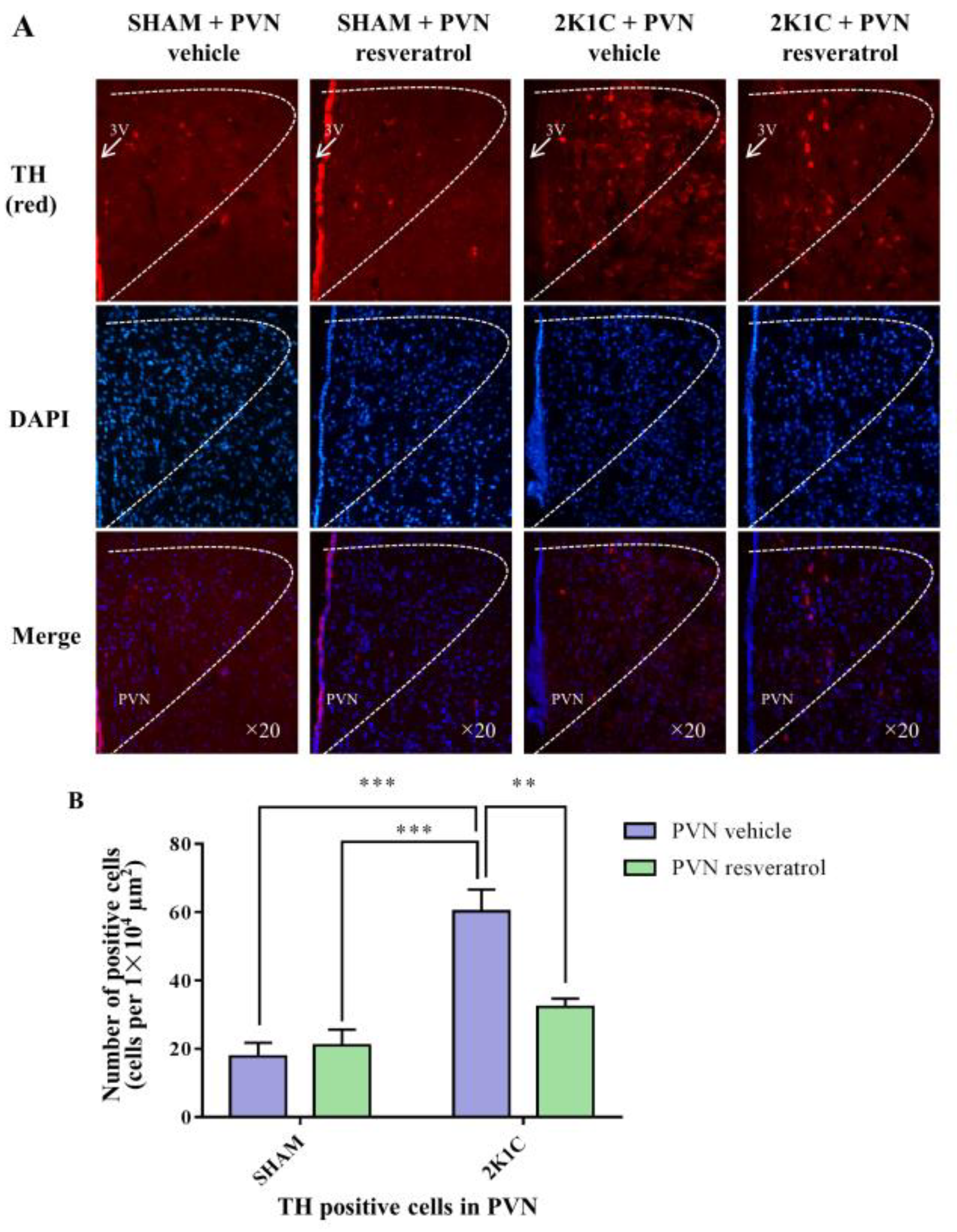 Nutrients 14 04177 g007