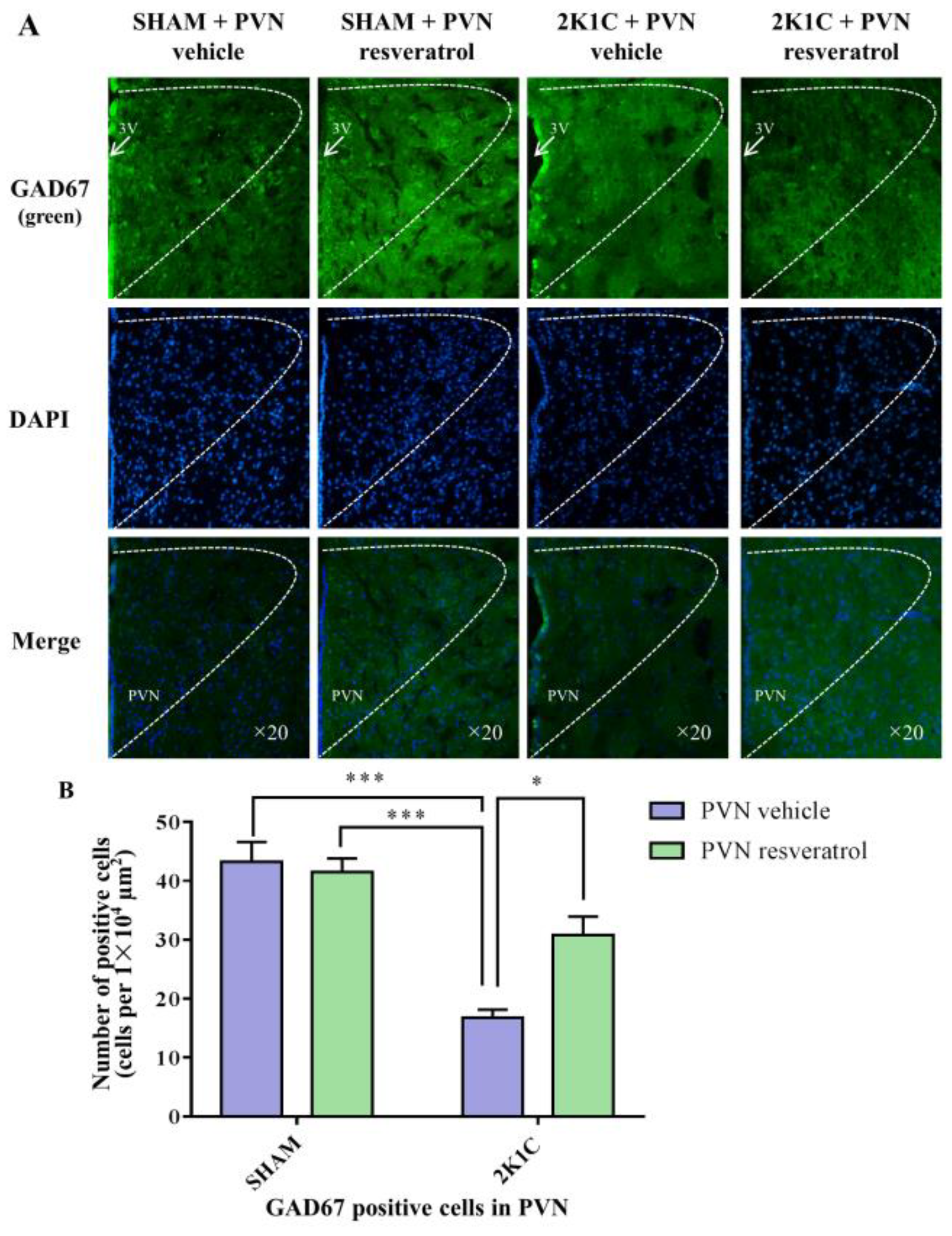 Nutrients 14 04177 g008