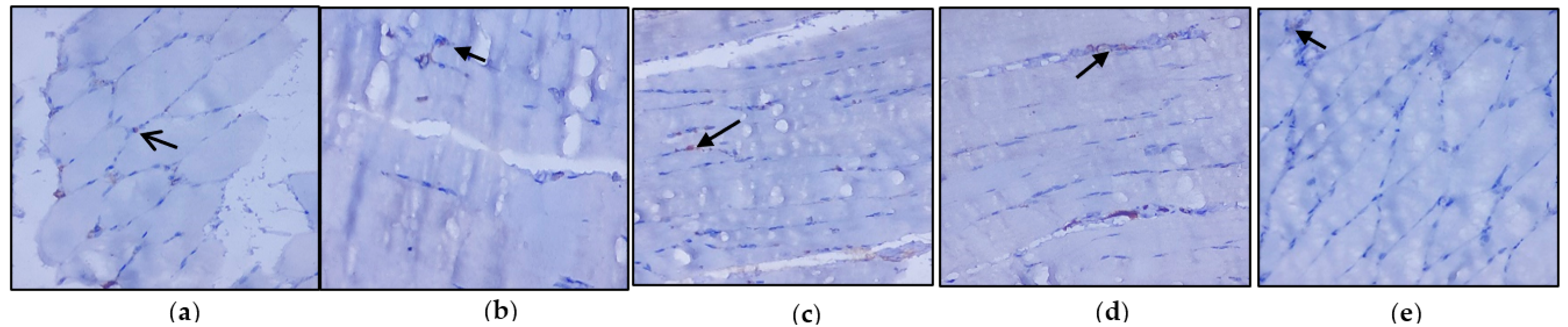 Nutrients 14 04181 g004 Nutrients 14 04181 g004