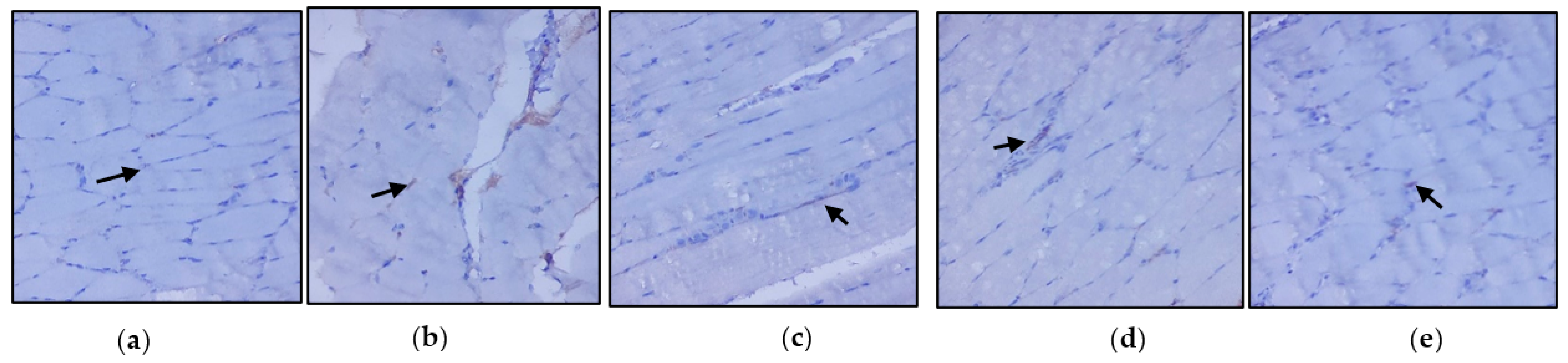 Nutrients 14 04181 g005 Nutrients 14 04181 g005