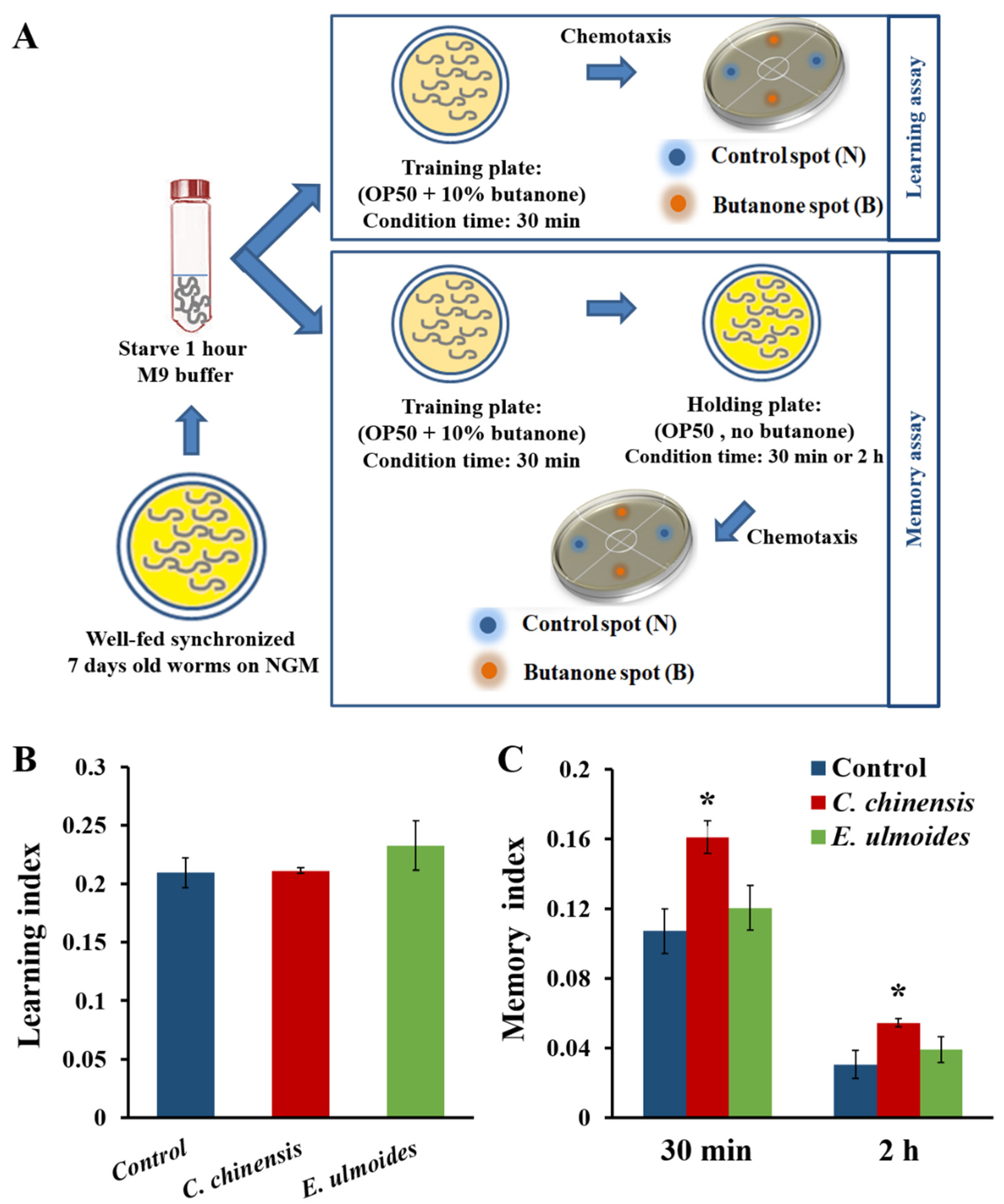 Nutrients 14 04199 g002