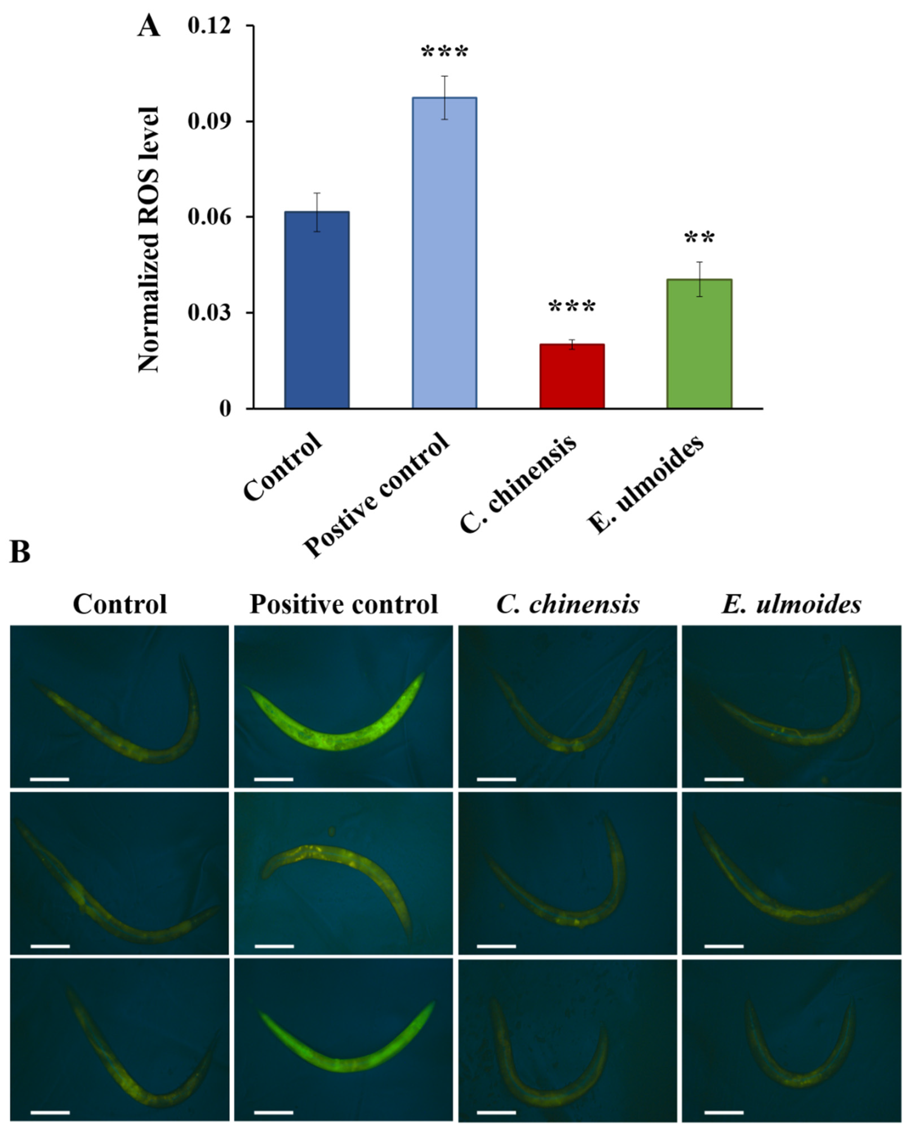 Nutrients 14 04199 g005