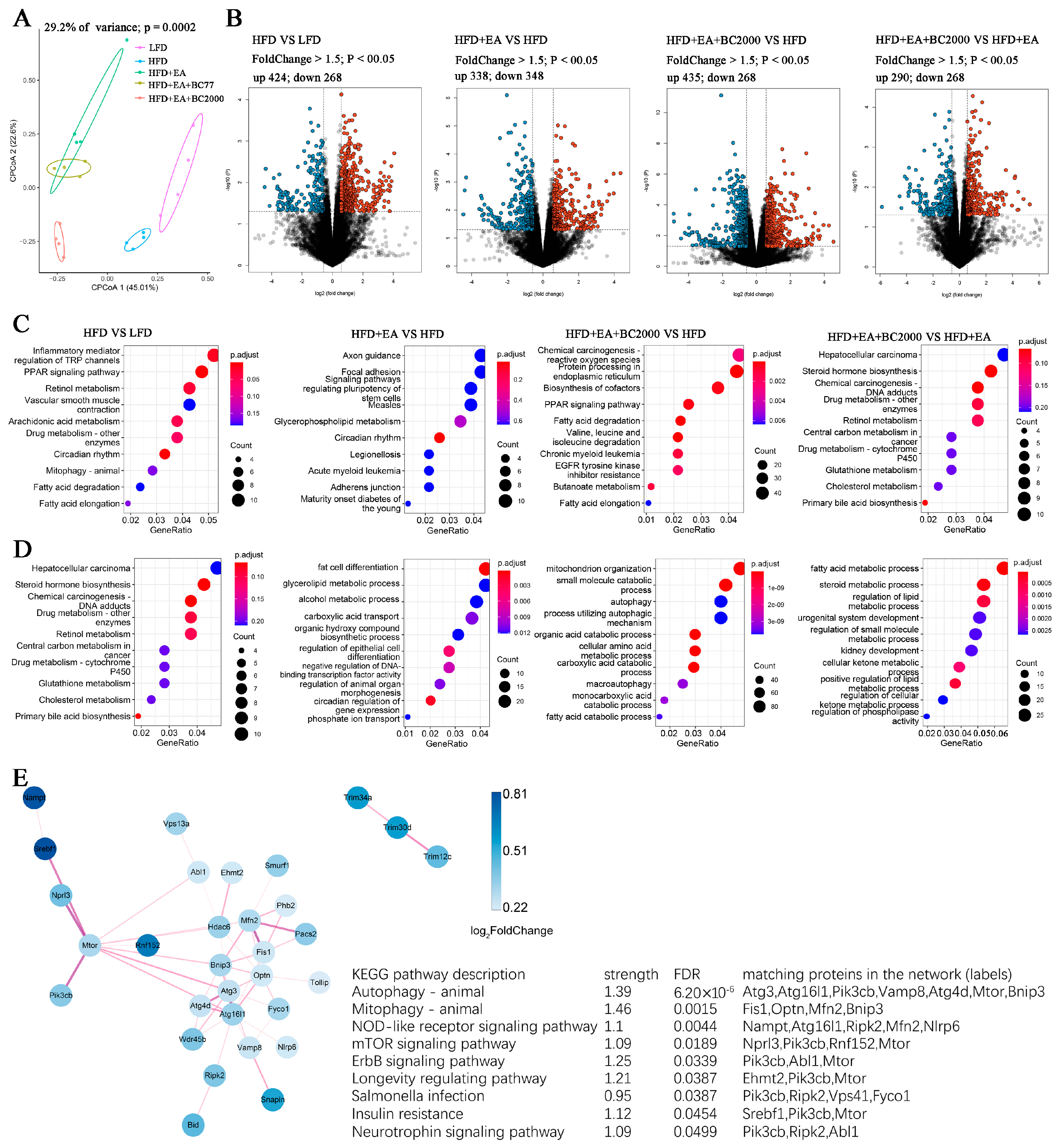 Nutrients 14 04206 g006 Nutrients 14 04206 g006