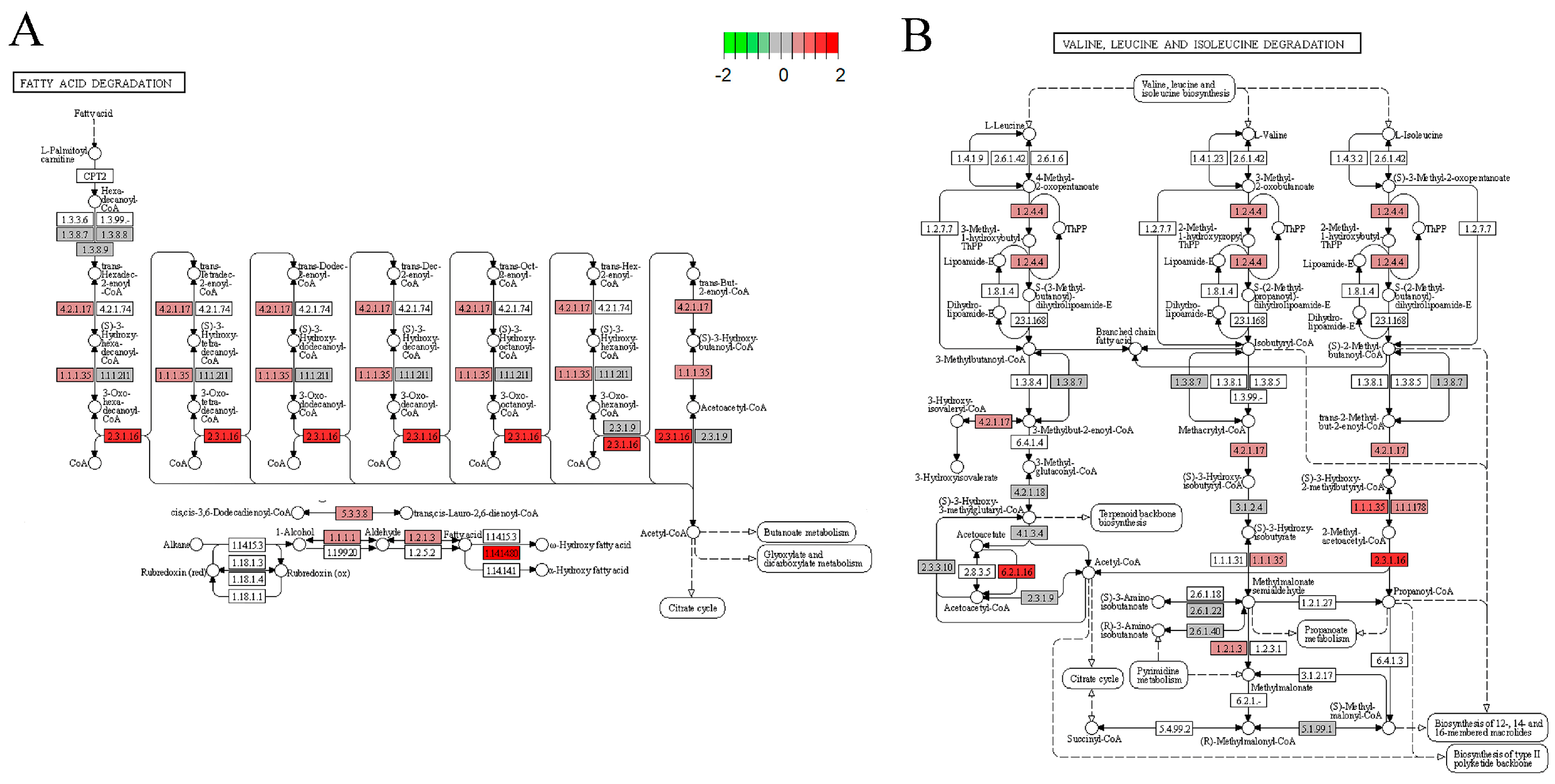 Nutrients 14 04206 g007 Nutrients 14 04206 g007